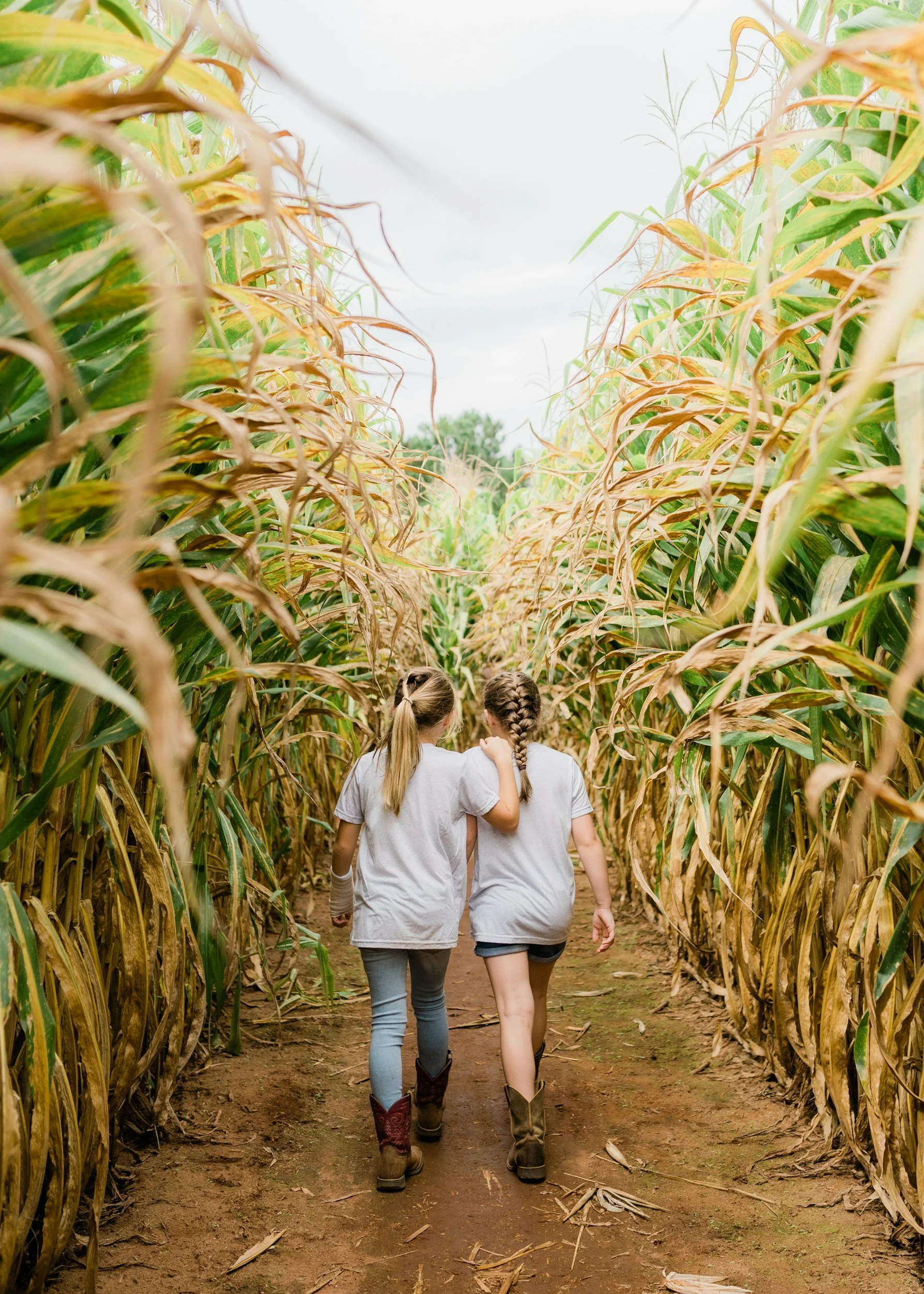 🌽The Best Corn Mazes &amp; Fall Farm Fun in Lake County, OH