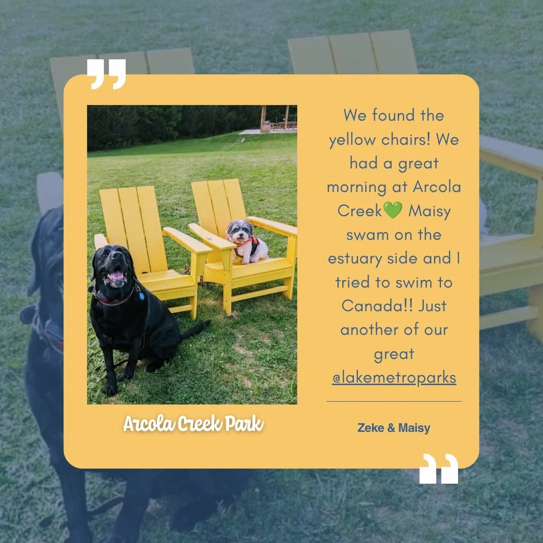 Every seat has a story. 💛 #nationaldogday Edition💛
💛The yellow chairs across Lake County, Ohio are collecting stories&mdash;favorite memories, yearly traditions, and special moments from the places you keep coming back to. 
🐾🐾Today's story comes