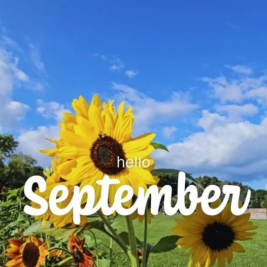 Hello September! What should we do next?🍎🍩🌽
 

#TourLakeCountyOH #NortheastOhio #fallinohio #fallvibes #wineries