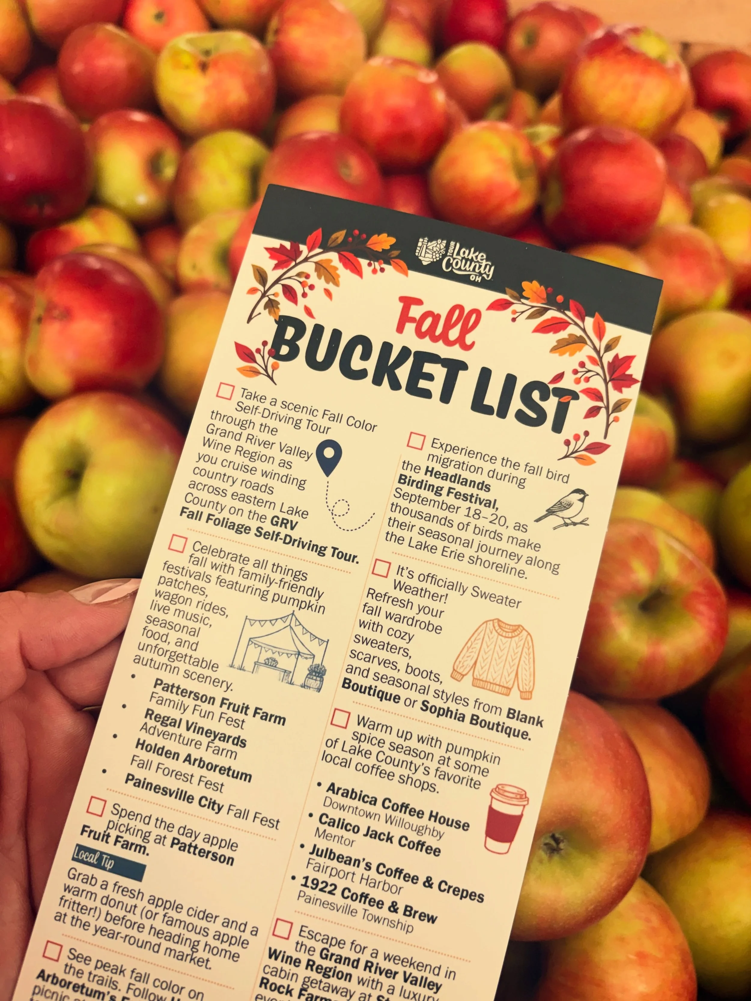 📢The 2026 Lake County Fall Bucket List is here!🌽🍎🍩 
🔗Link in Bio
👻🍇🎃Check out our top recommendations including some of our most popular attractions and destinations in our area⤵️⤵️
🍎Local farms
🎃Pumpkin patches&nbsp;
🍇Harvest season at th