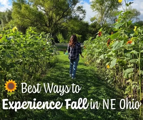 Looking to experience your best days this fall?🍂
If your ideal fall day involves crisp air, colorful leaves, apple cider, pumpkin picking, cozy coffee, a little shopping and maybe a glass of something local&hellip; we know a place. 😉

🌅Sunrise hik