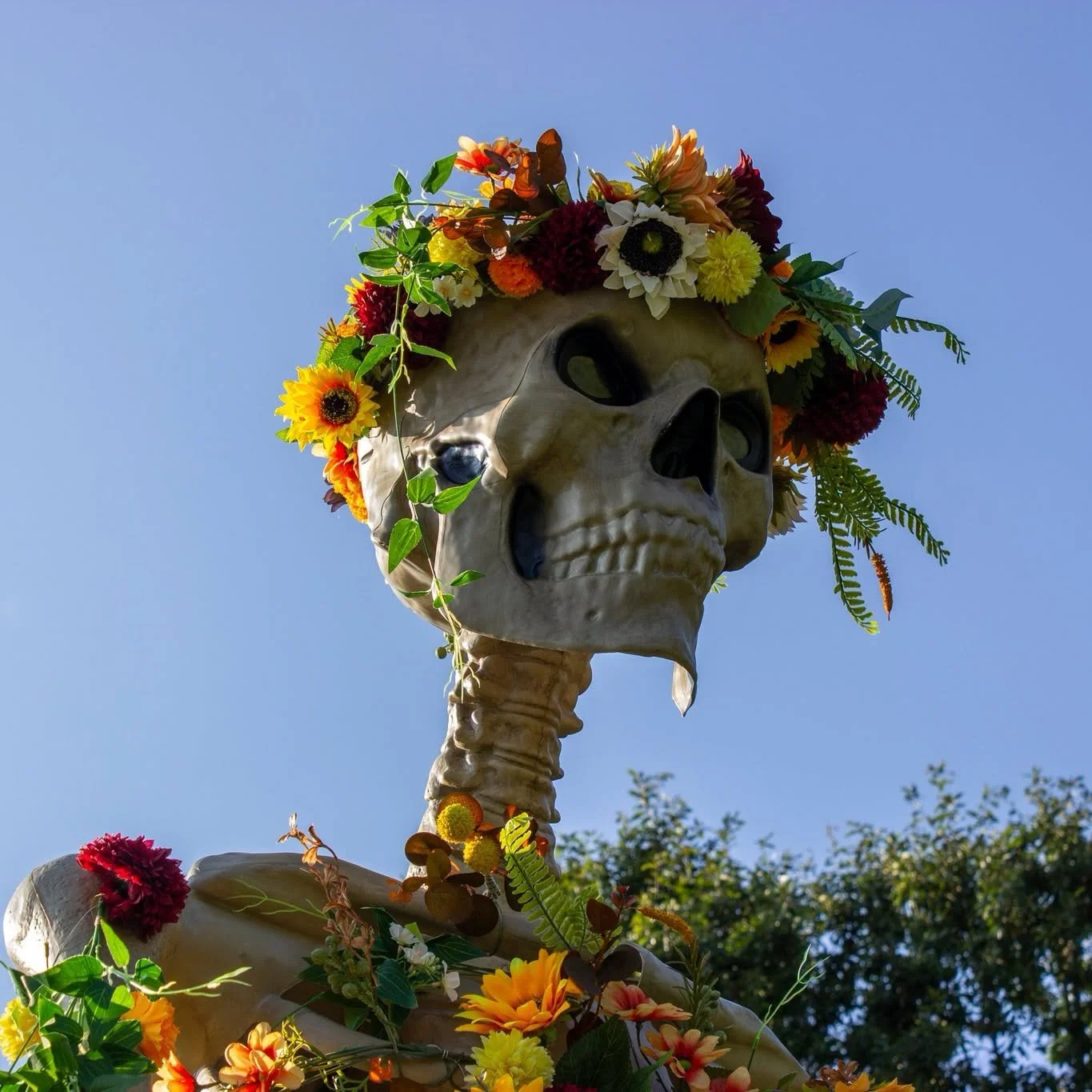 📢Starting Sept.19, Skeleton Grove at Holden Arboretum returns
💀14 artist-designed, 12-foot skeletons 
🌳Main Display Garden and Corning Visitor Center
👻Spooky fun to the fall landscape.
🎃Skeleton Saturdays every Saturday in October for artist mee