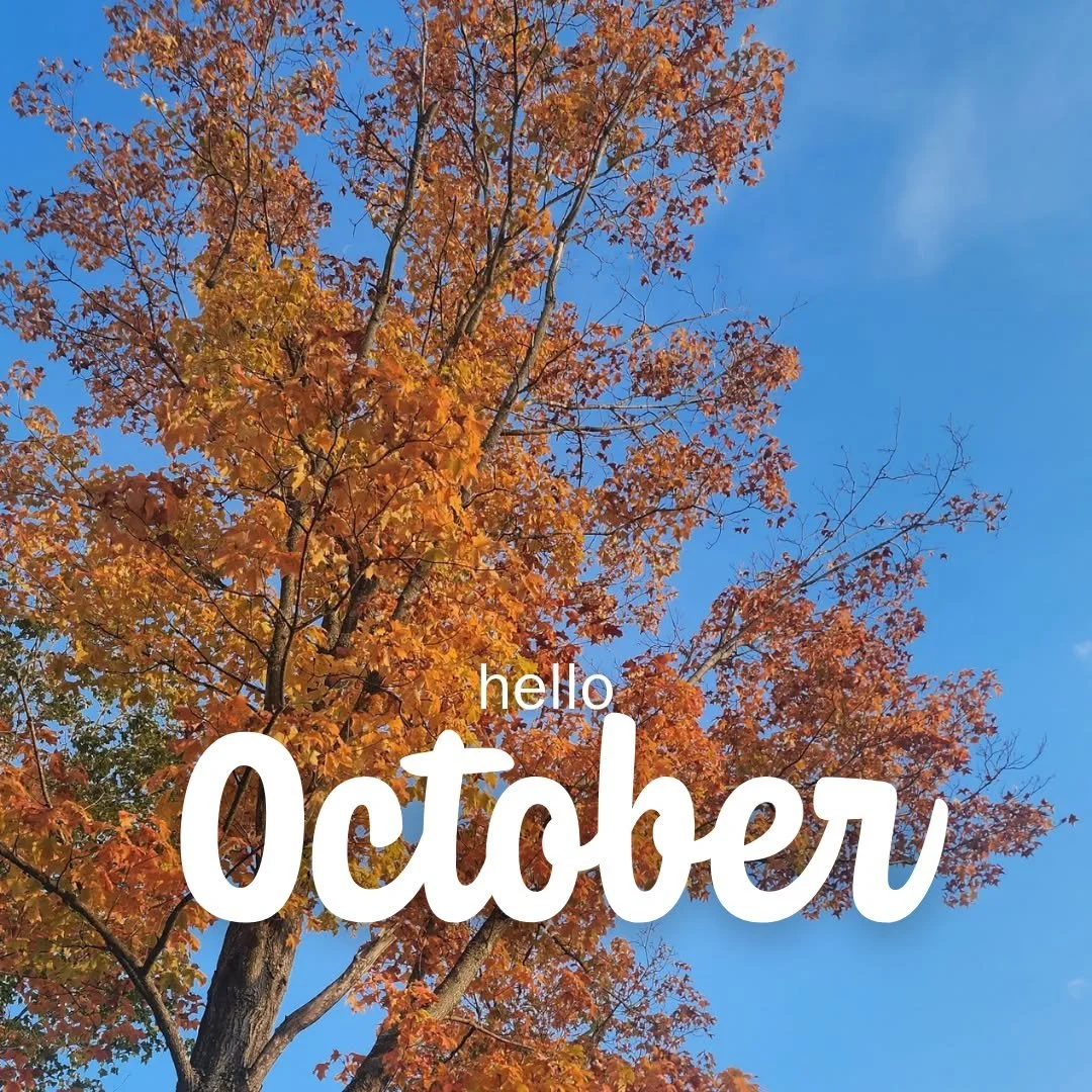 🍂🍁 Oh, hello! 
Welcome back October 🍂🍁

#TourLakeCountyOH #FallinOhio #FallVibes