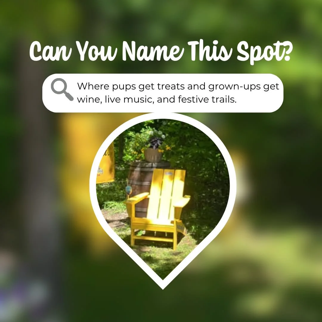 📢Okay, Lake County&hellip; 
🤔Can you name this spot? 
💛Take a look and drop your guess in the comments! ⬇️
View all 25 yellow chair locations?🔗Link in Bio

💛 Find Your Seat. Hear Our Stories. Share Yours.
#TourLakeCountyOH #WeSavedASeatForYou #L