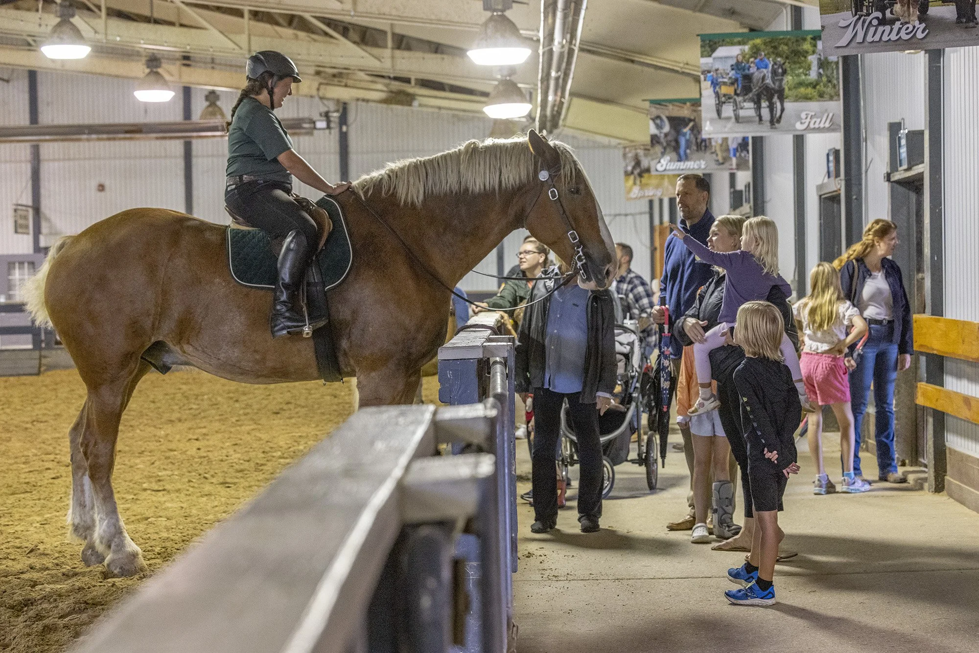 Horsepower Weekend&nbsp;at Lake Metroparks Farmpark