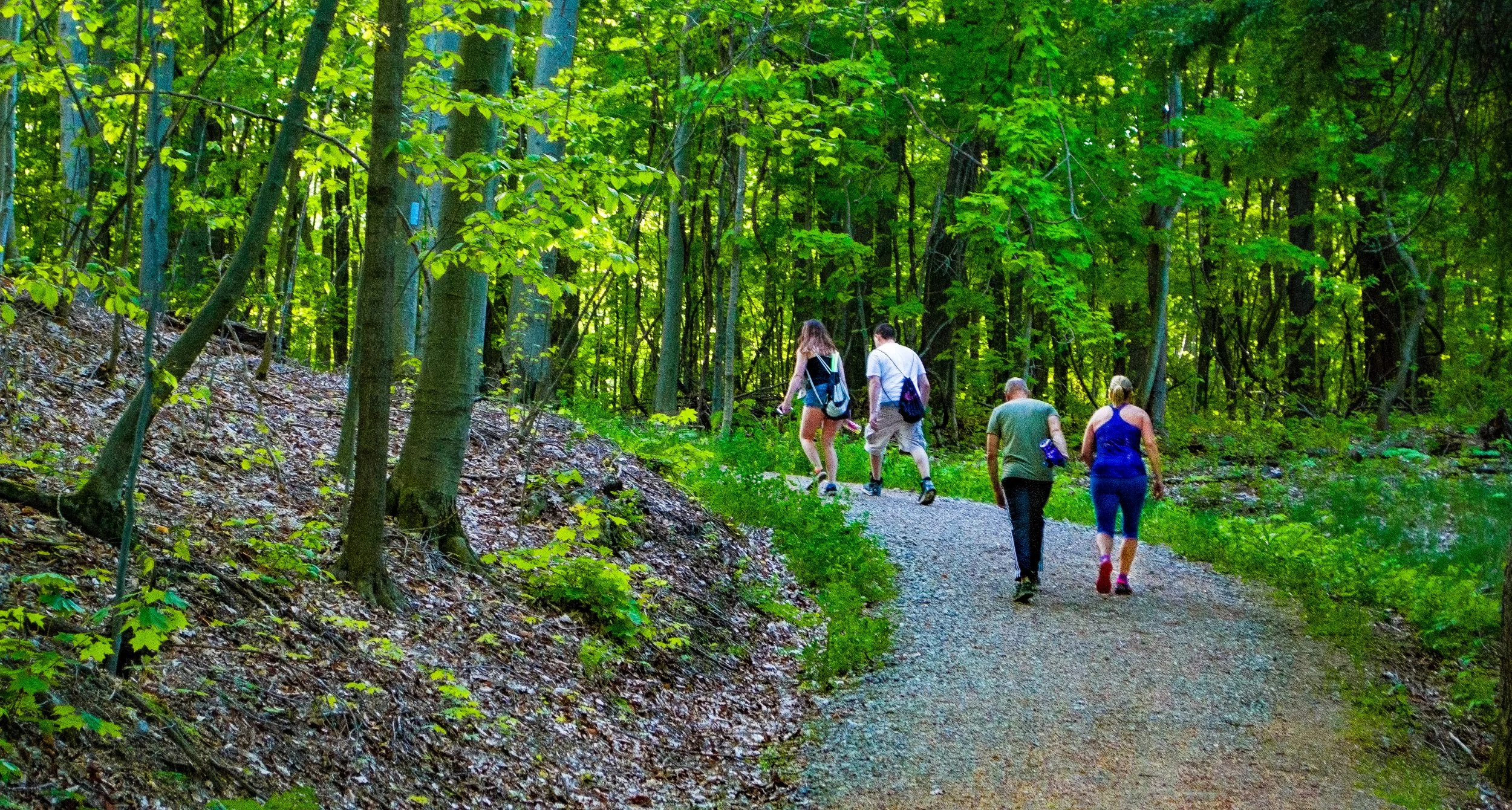 Girdled Road Reservation spring hikers - Jim Marquardt.jpg