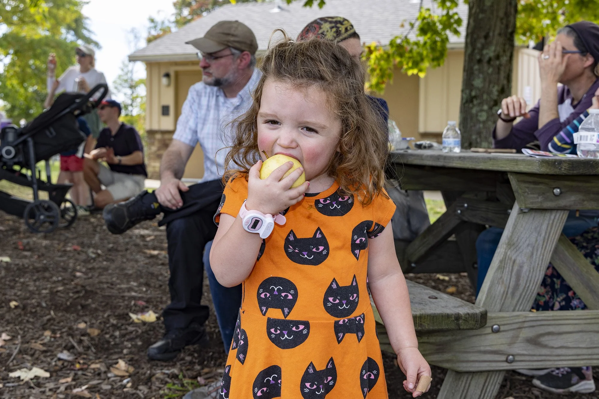 Apple & Honey Harvest Weekend with Lake Metroparks