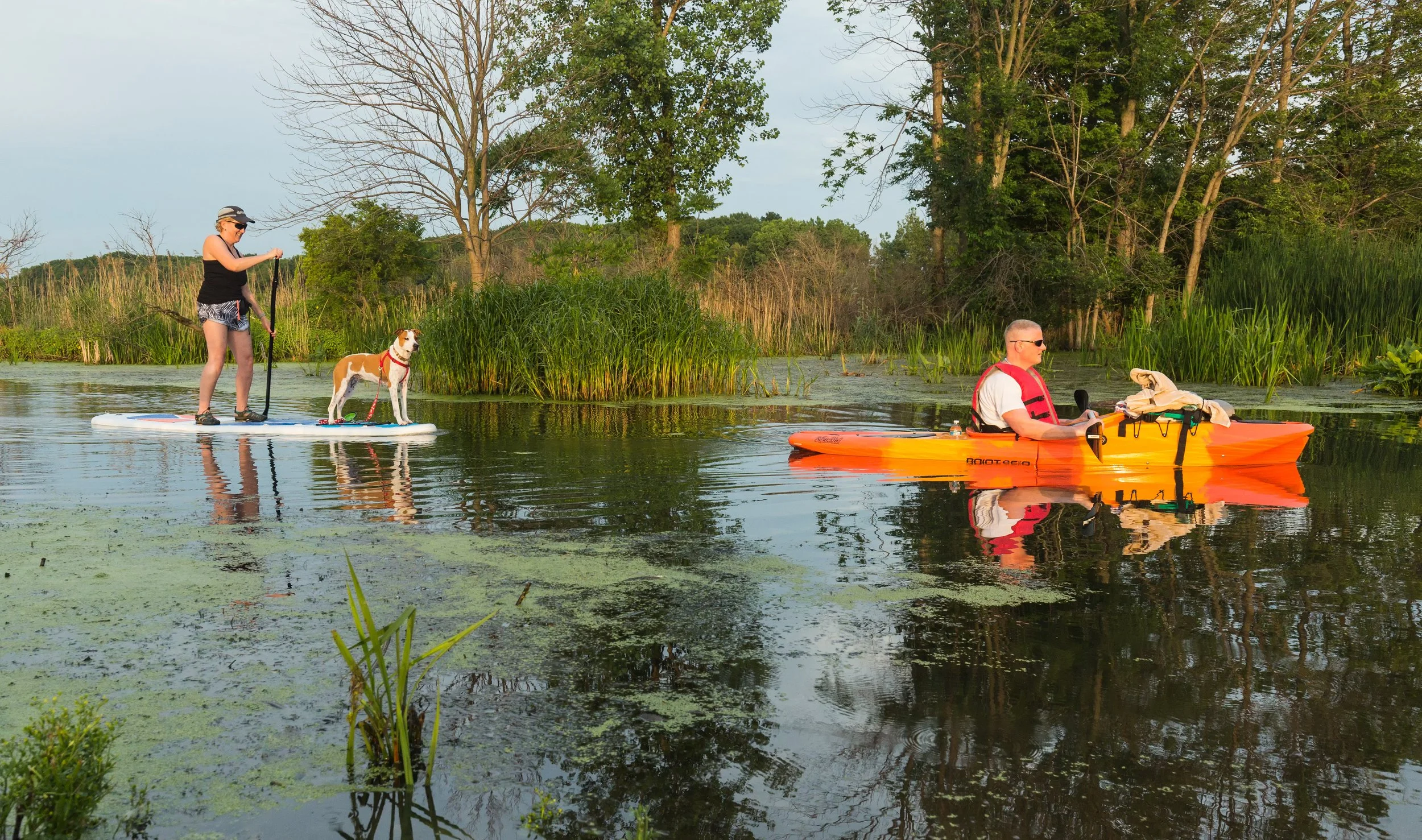 A woman and a dog stand on a paddleboard, and a man paddles a kayak on a peaceful lake surrounded by trees and greenery.