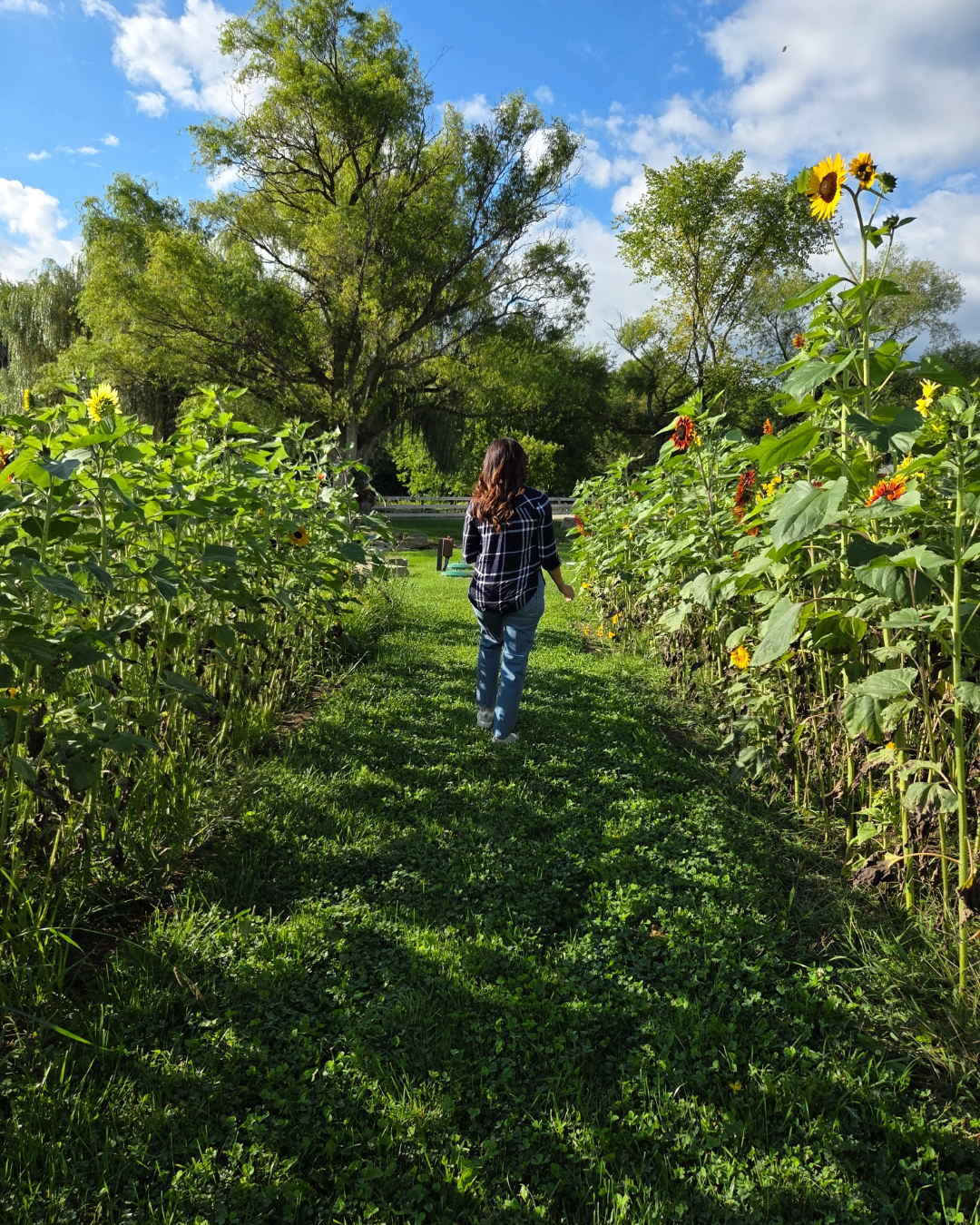 The Best Ways to Experience Fall in Northeast Ohio