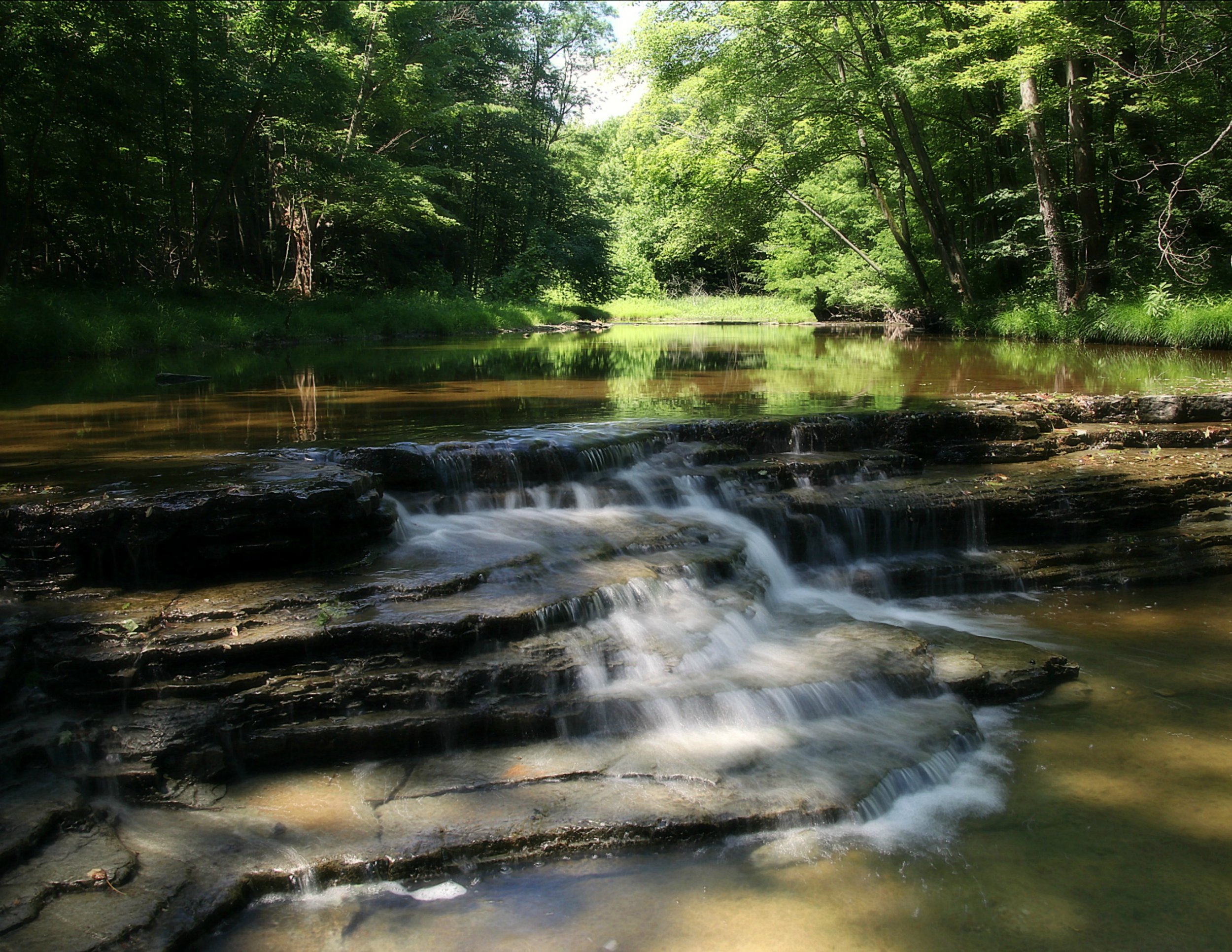 Hogback Ridge spring waterfall - David Trevarthen.jpg