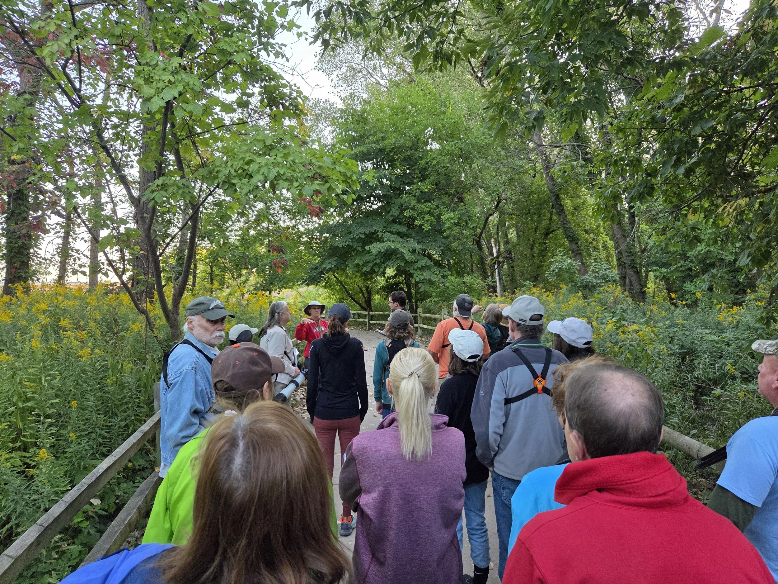 Save the Date: Headlands Birding Festival 2026