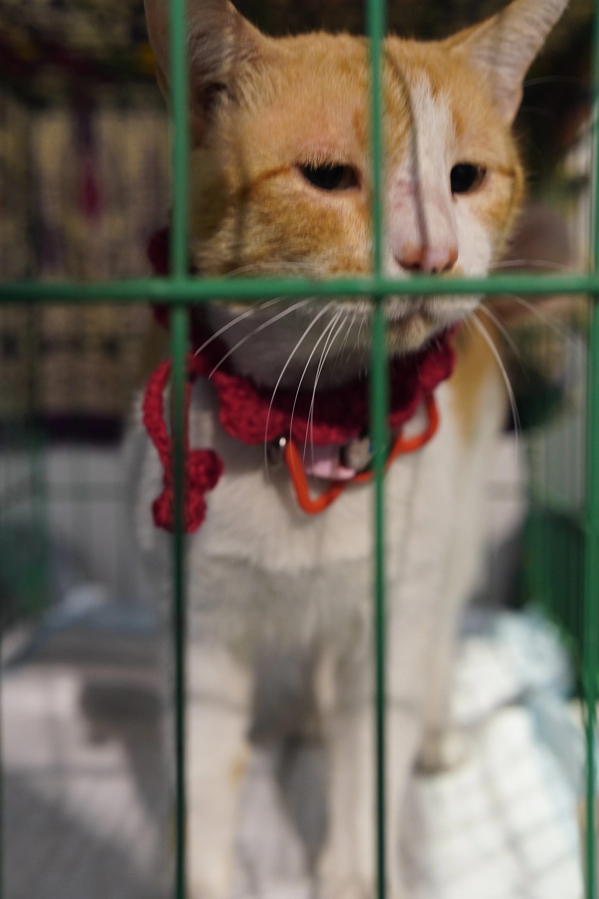 Monty. He has a double chin.