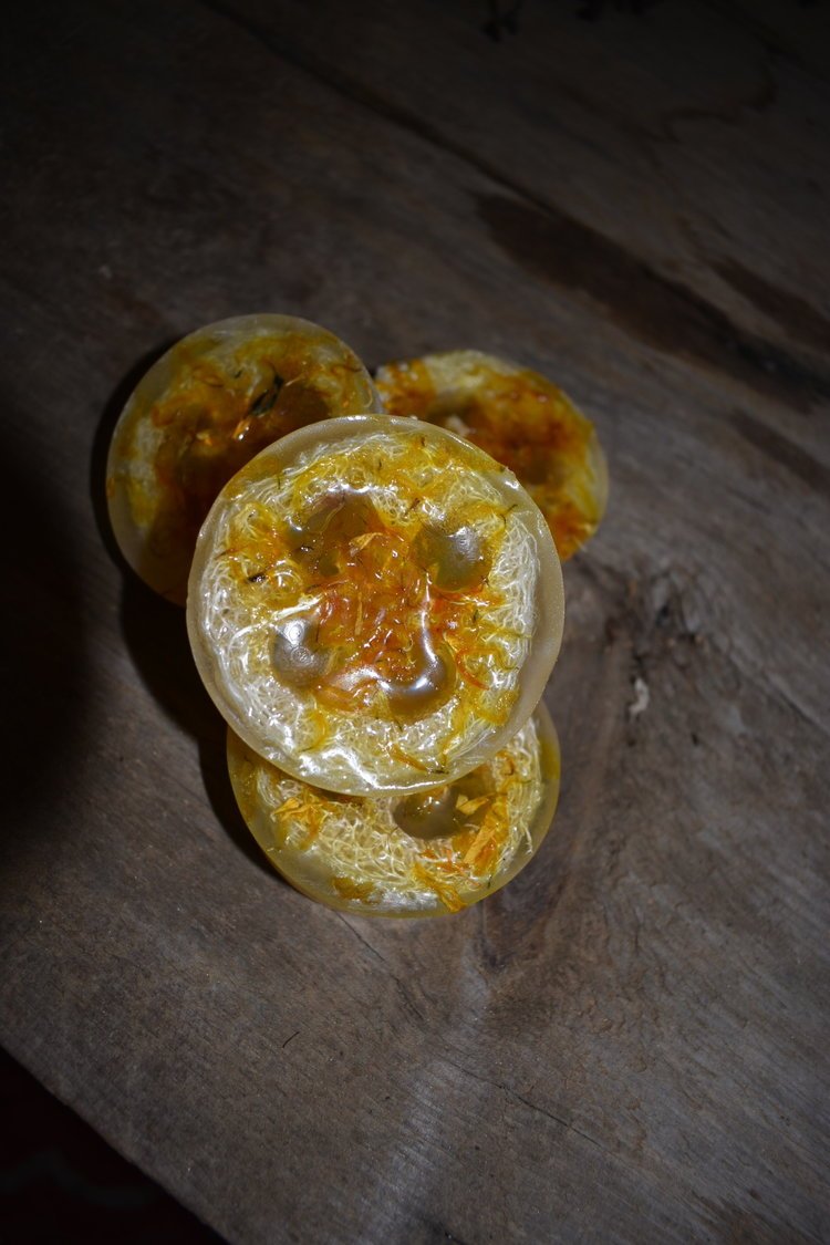 Olive oil Soap with Loofah Slice.jpeg