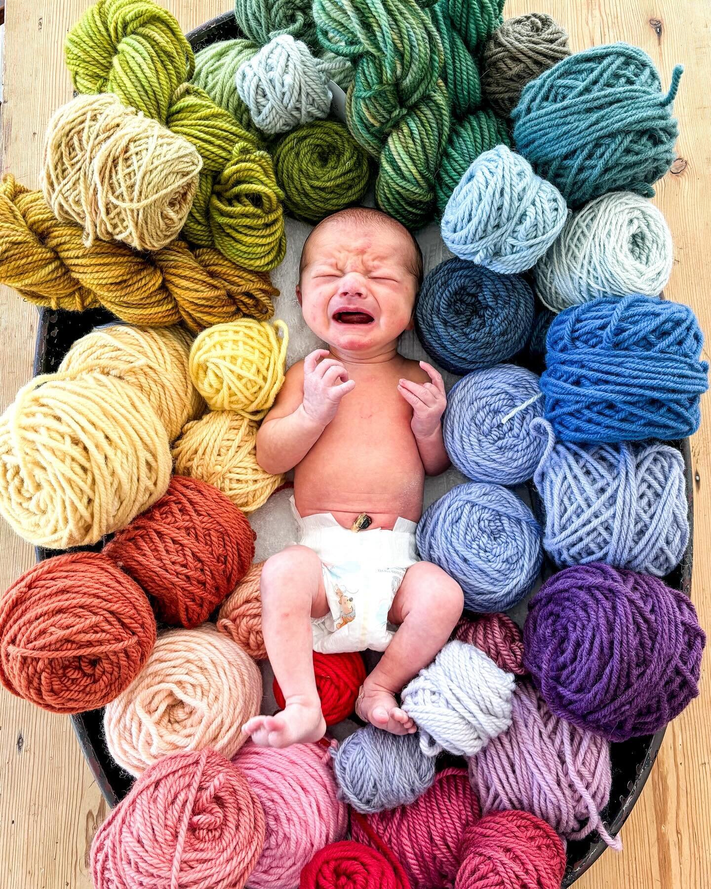 We added another yarn baby to our collection! Albert Augustus or as we like to call him, &ldquo;Baby Gus Gus,&rdquo; joined the family last Monday!

He&rsquo;s extremely loved by his older sister. She thinks this is her baby and I just happened to bi