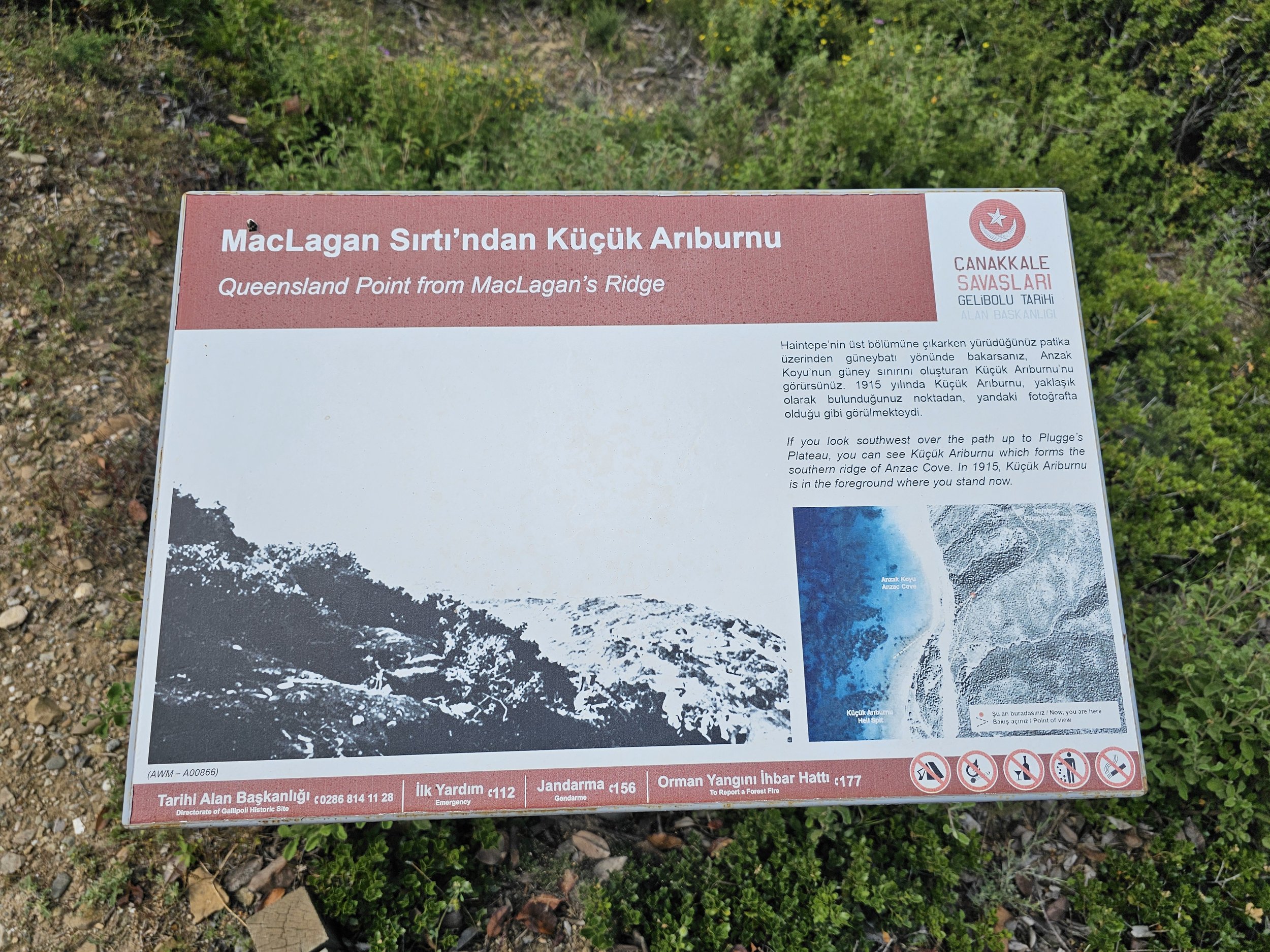 20240513_101355.jpg