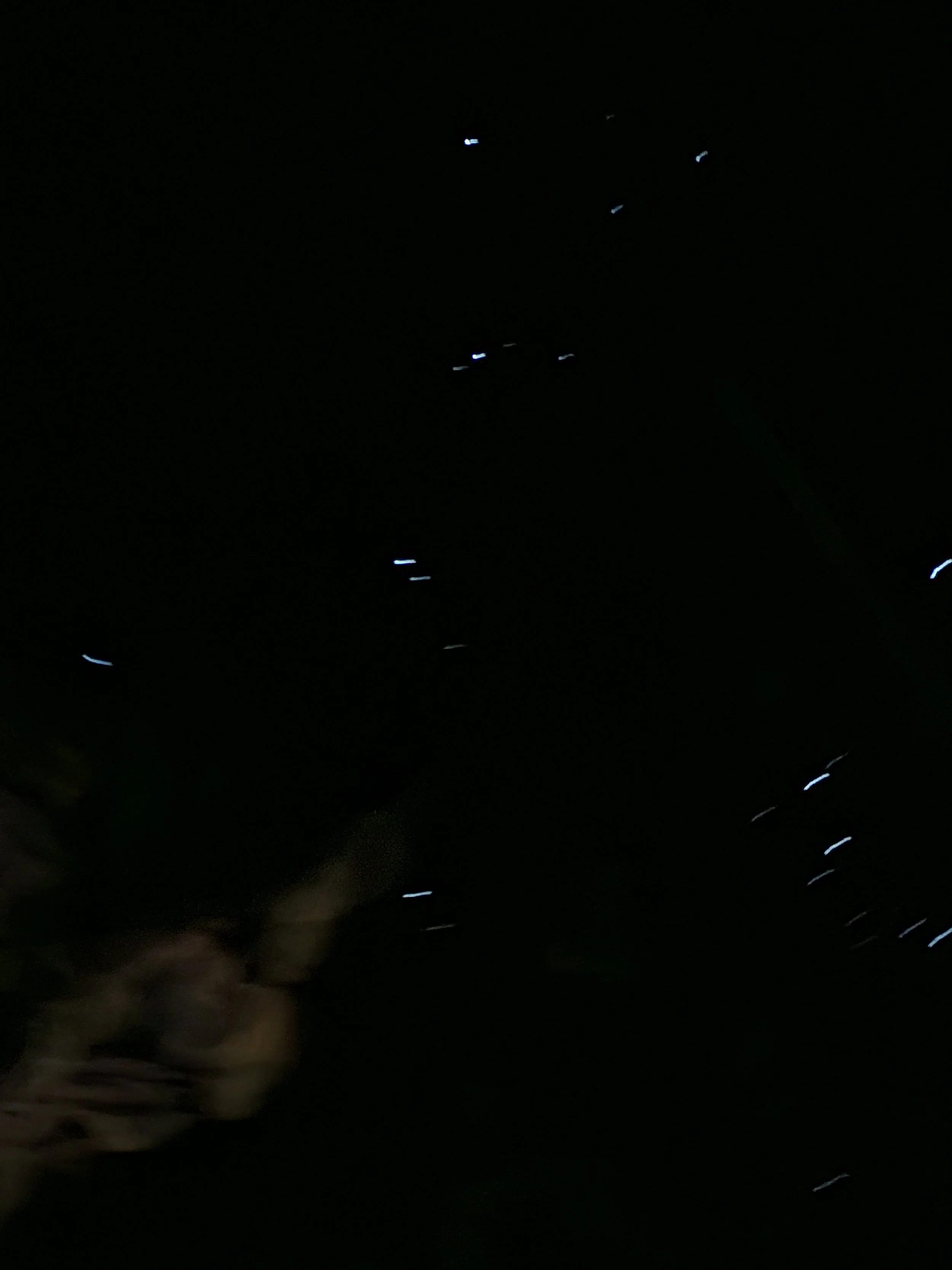 20231124_122406.jpg