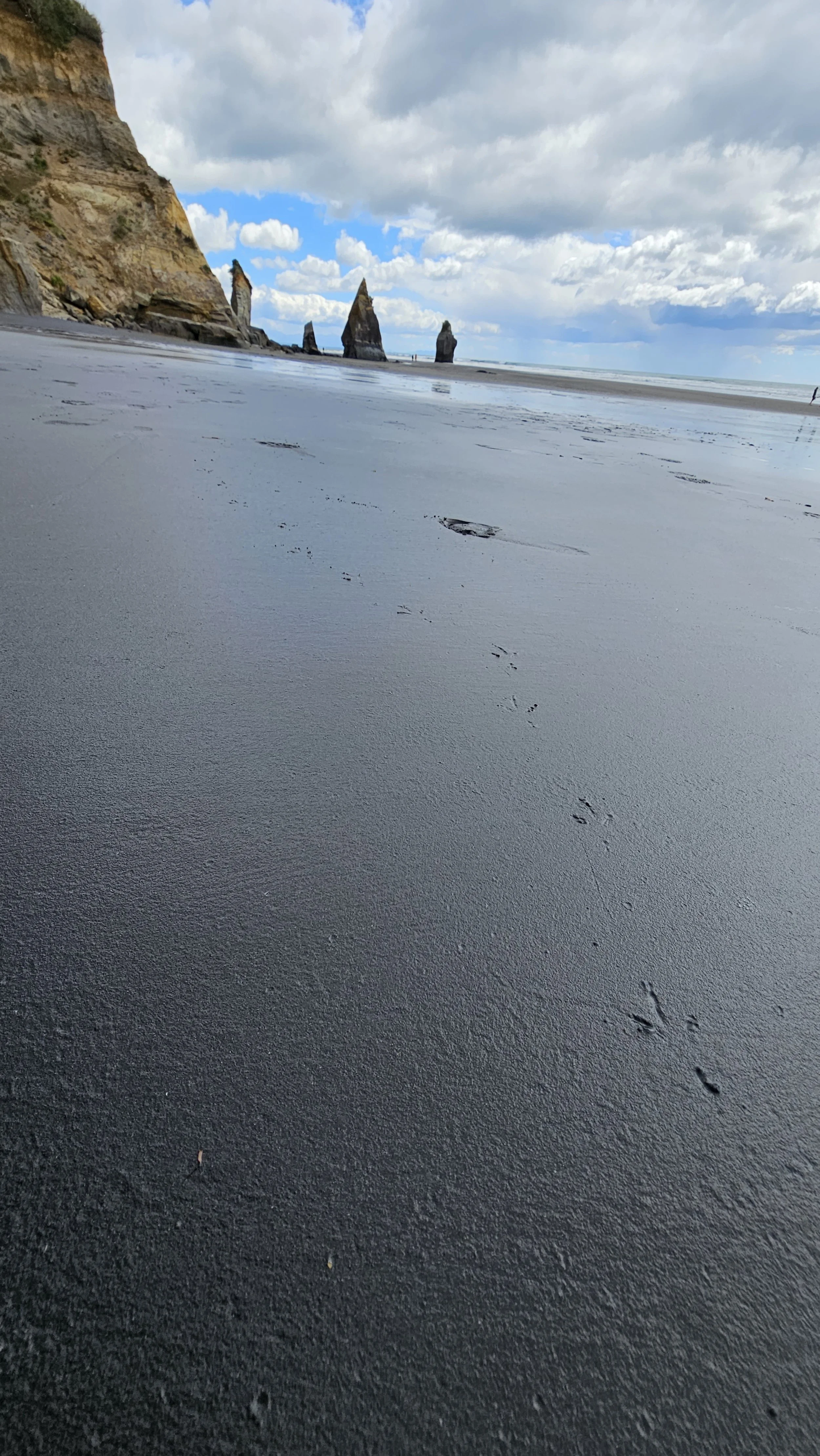 20231124_154742.jpg