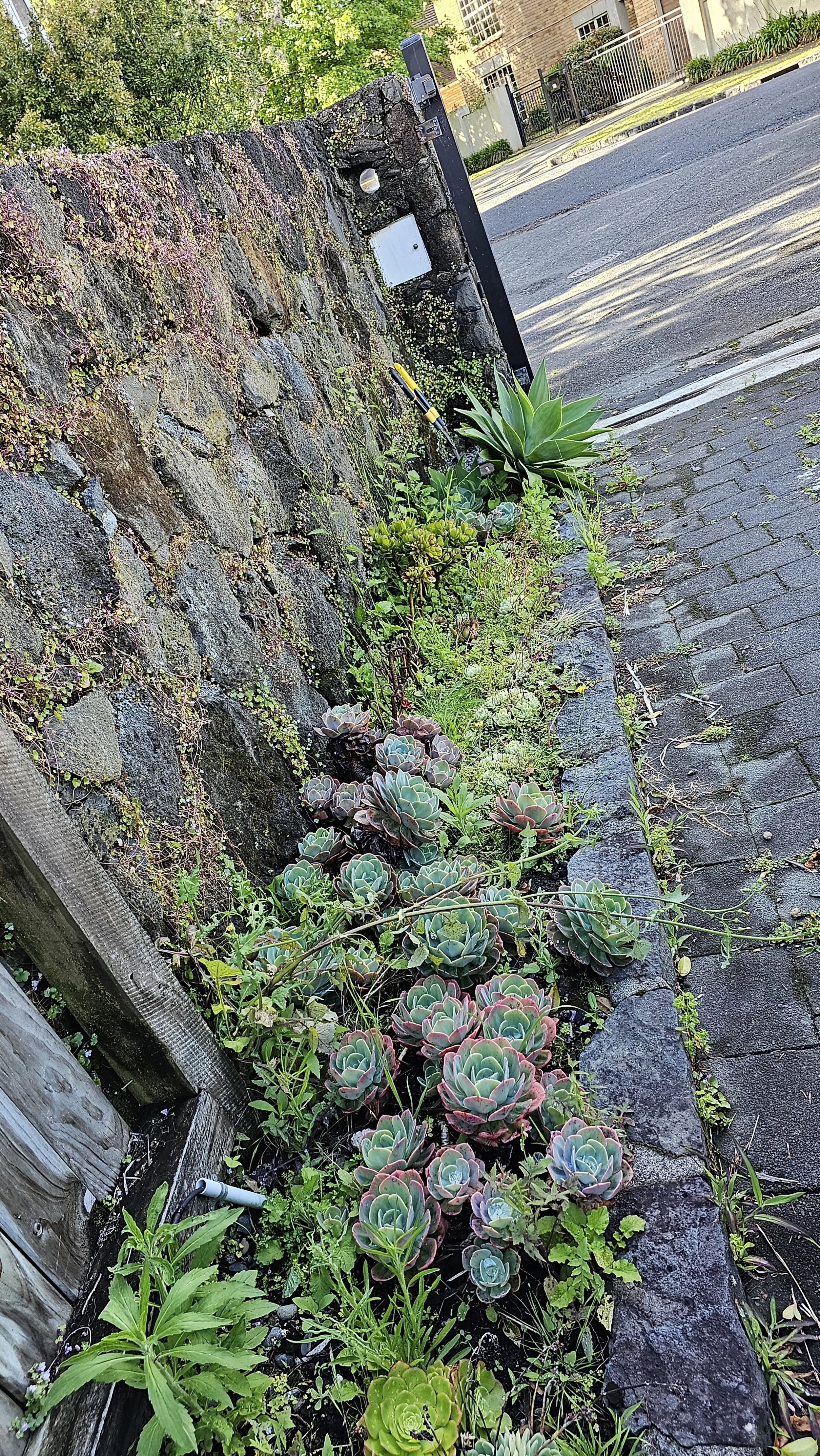 20231119_172735.jpg