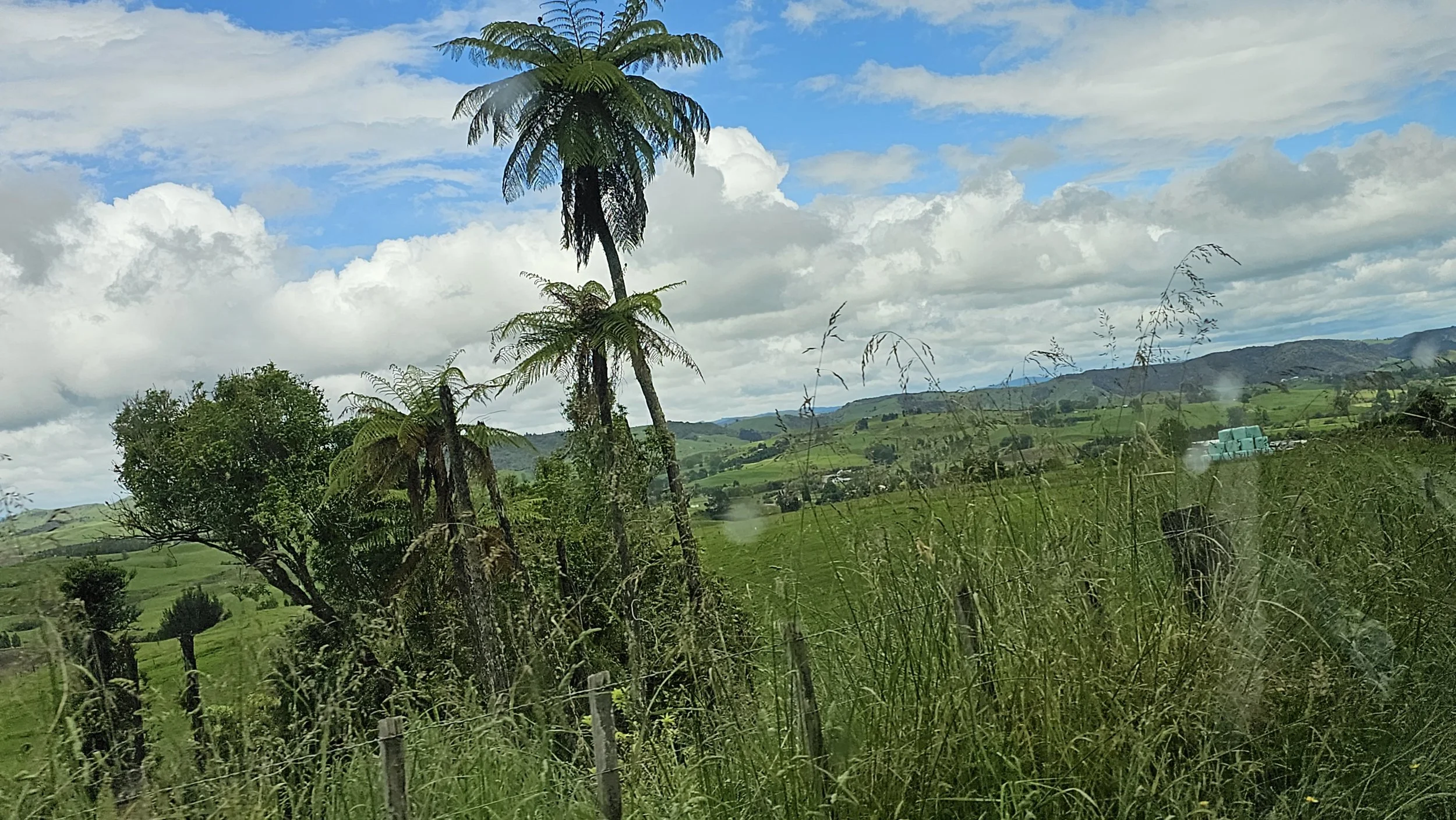 20231124_140107.jpg