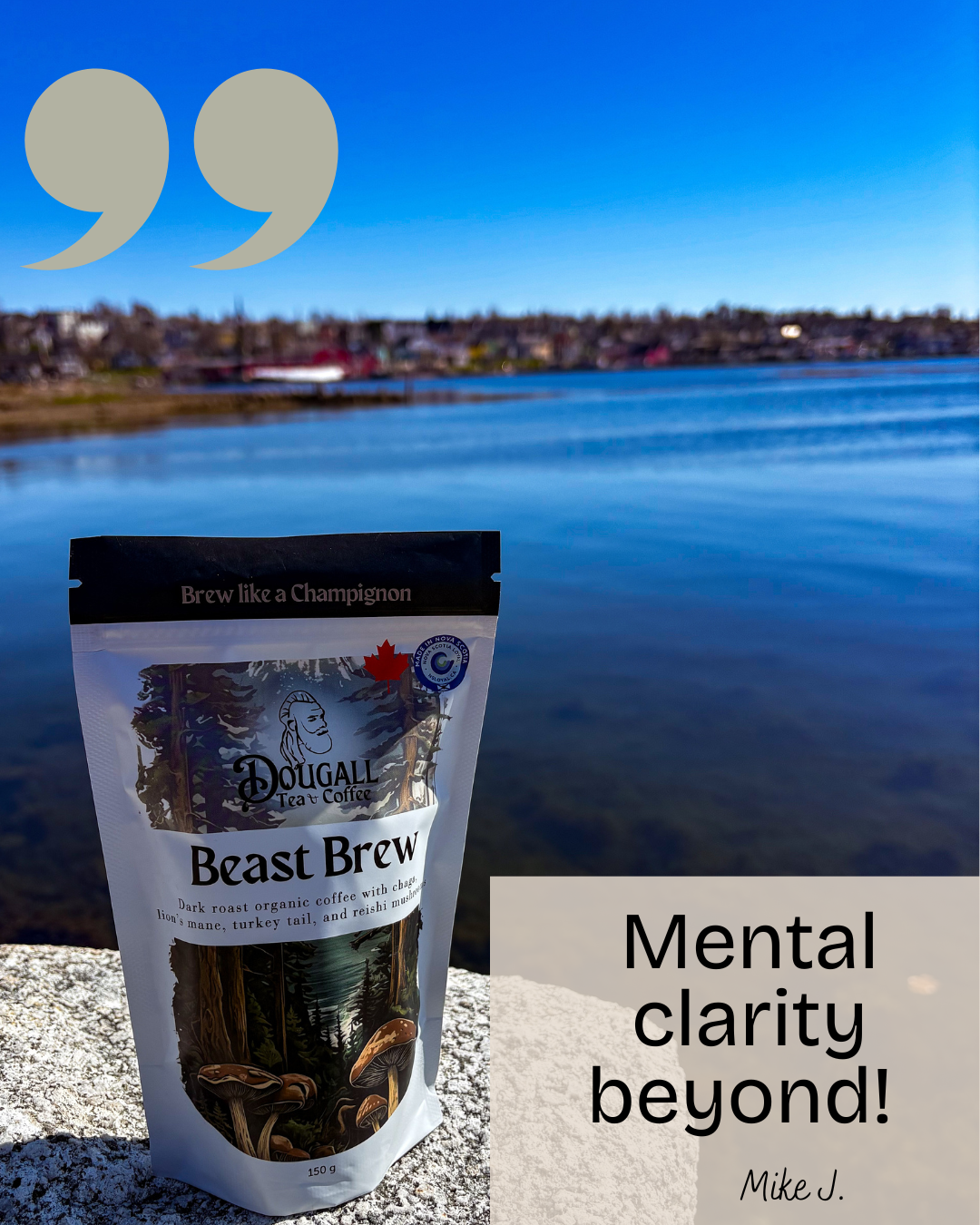 mushroom coffee canada.png