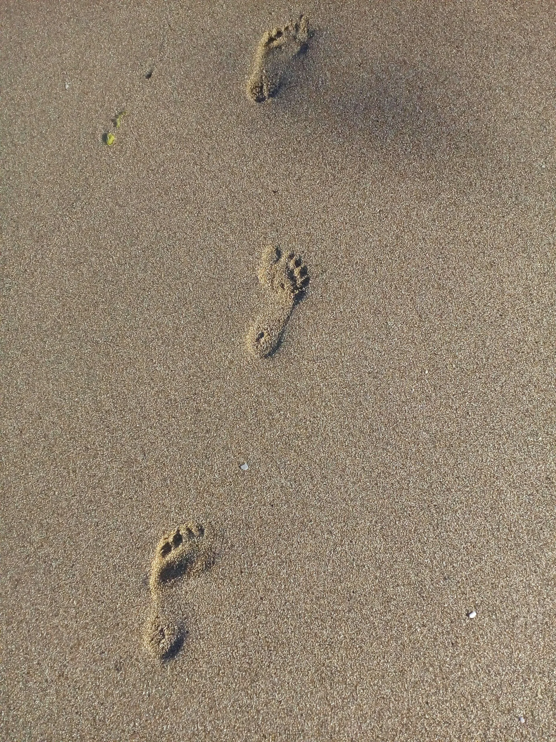 Small Steps Toward Big Self-Love