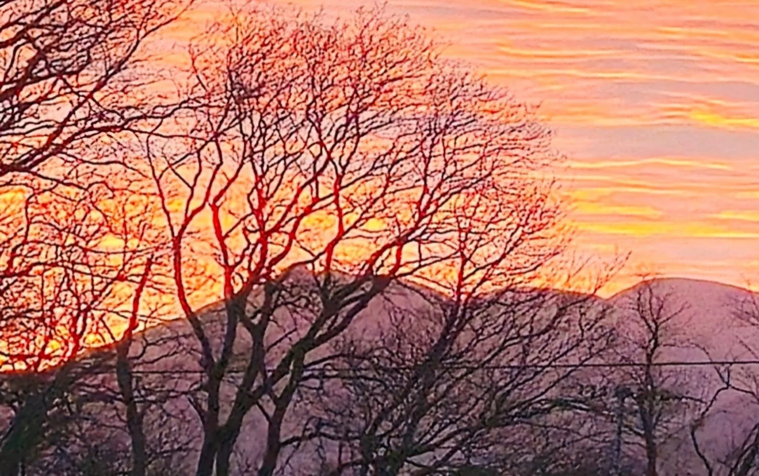 Screenshot_20251218_002440_One UI Home.jpg