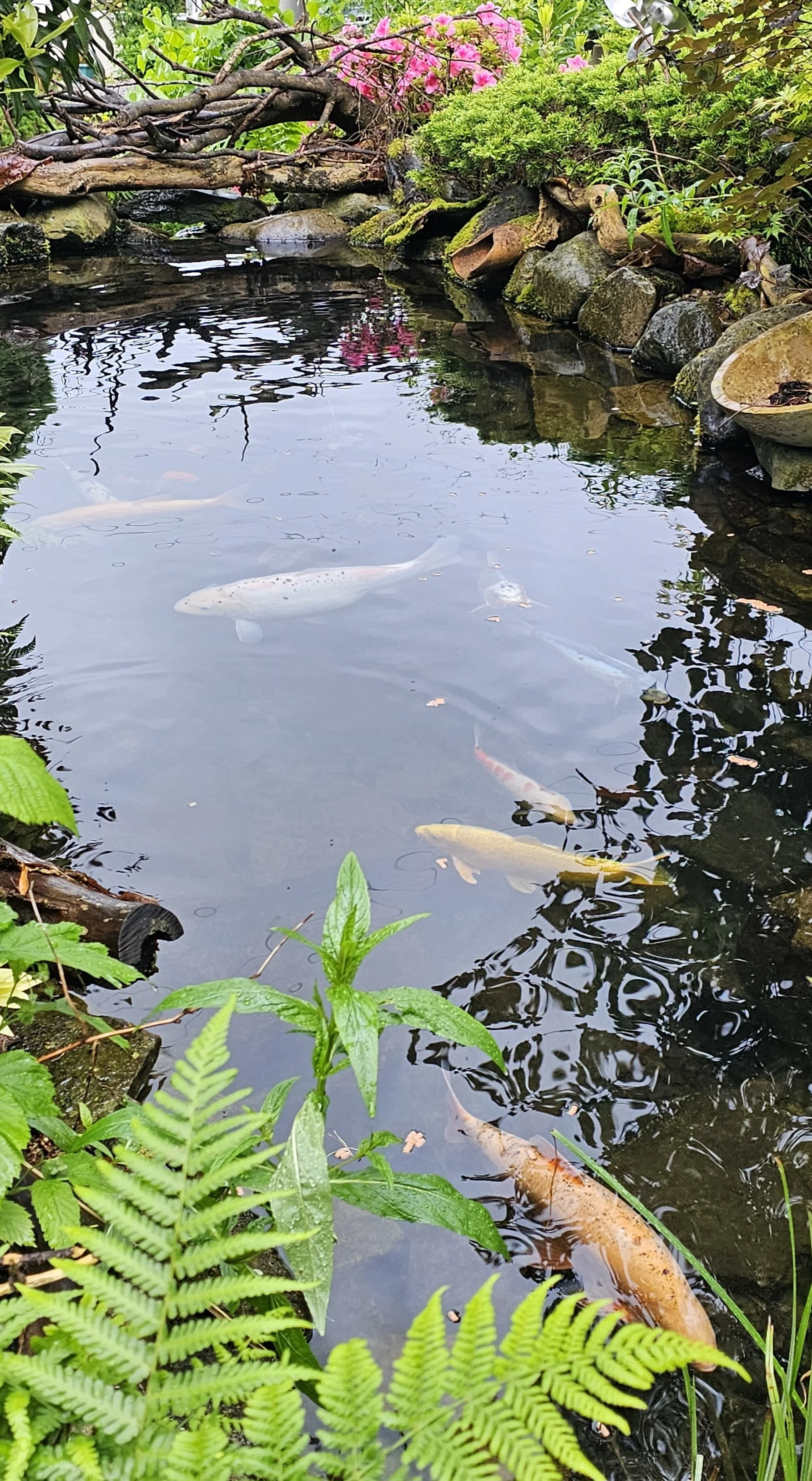 20240528_170134.jpg
