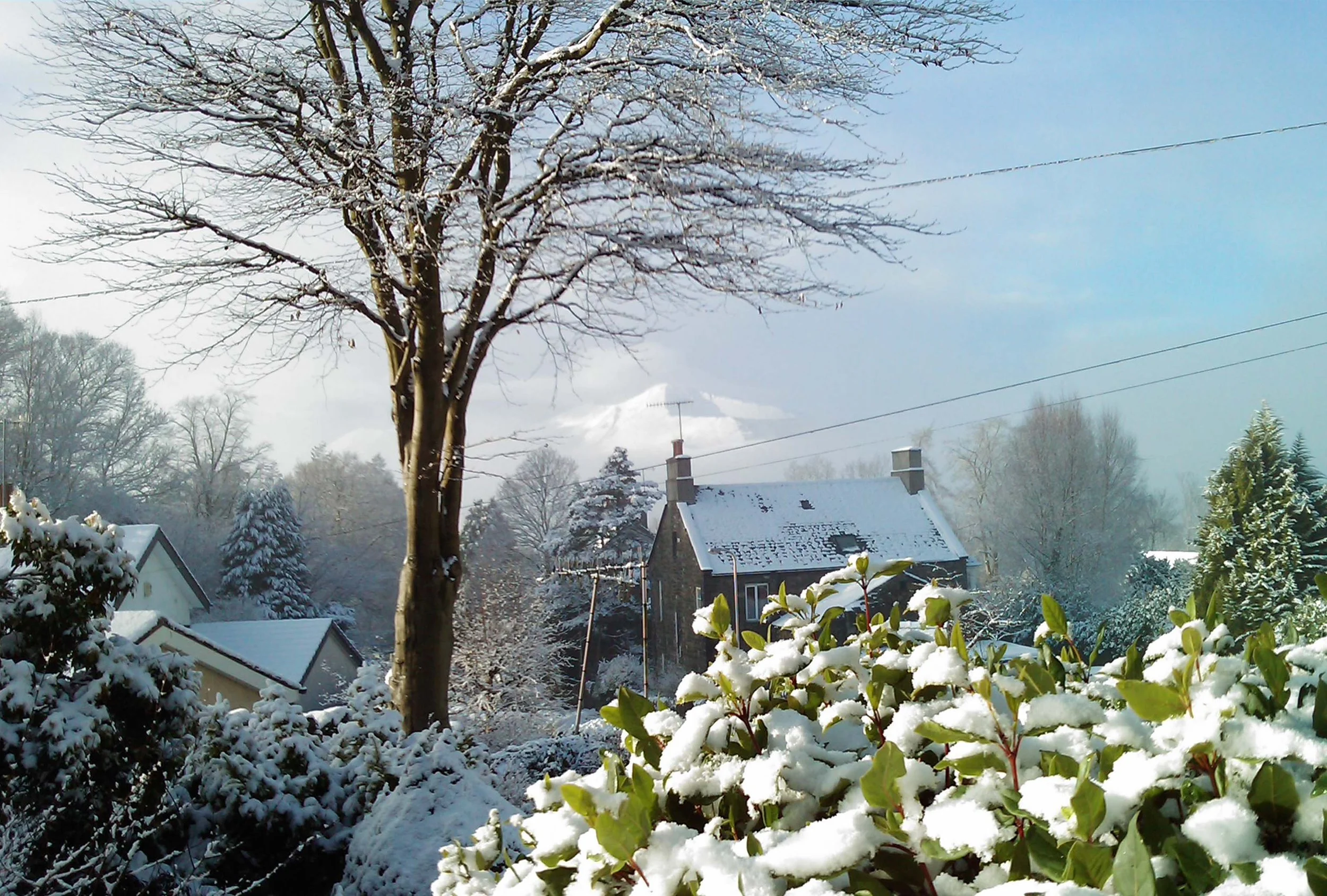 View changes througout the year