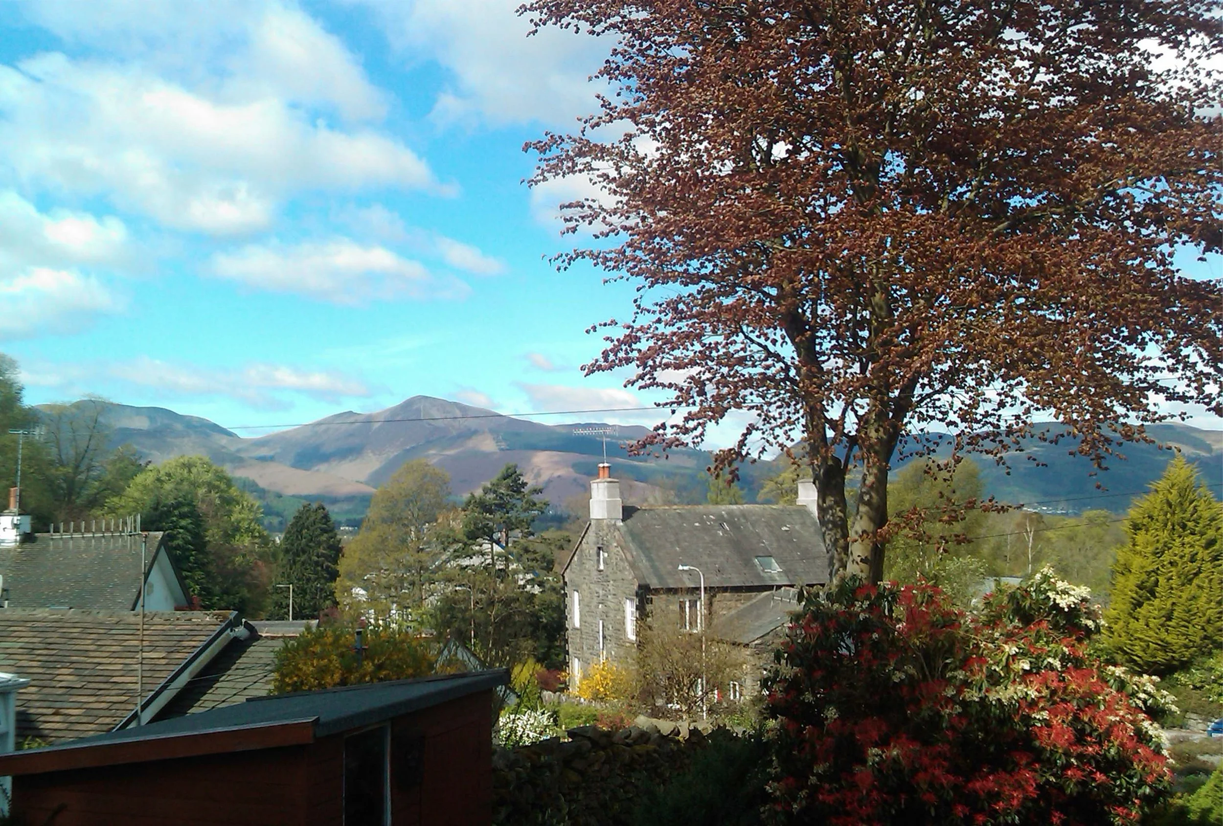Western view, Spring, Grisedale Pike seen in the distance.jpg