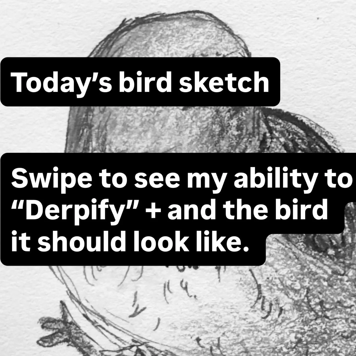 The mourning warbler is a super cute warbler (aren&rsquo;t they all!?!) &mdash; and this lil fella is the subject of my sketch today. Please enjoy. #dailysketching #mourningwarbler #birdart #derp