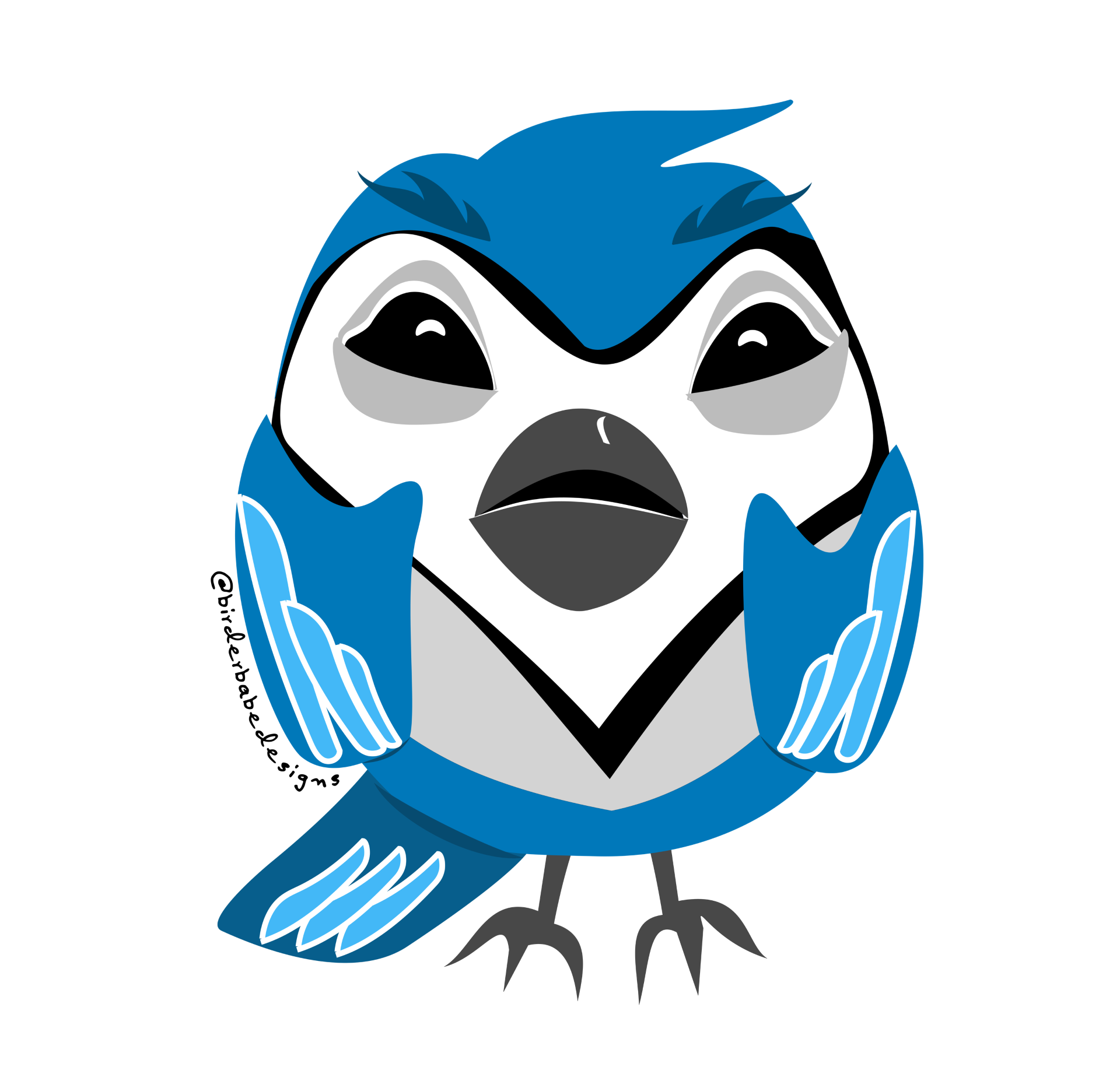 Blue Jay