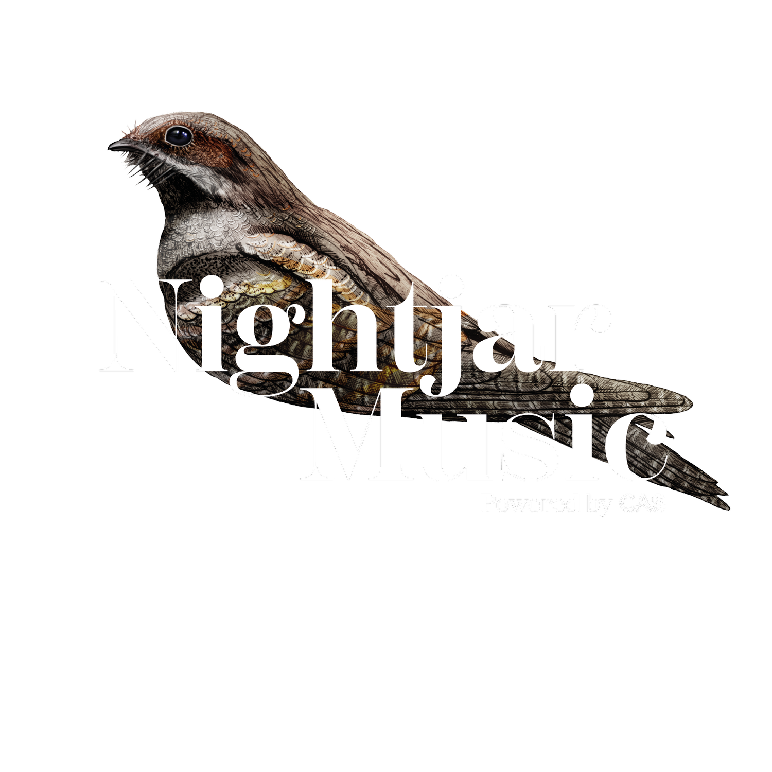 Nightjar Music