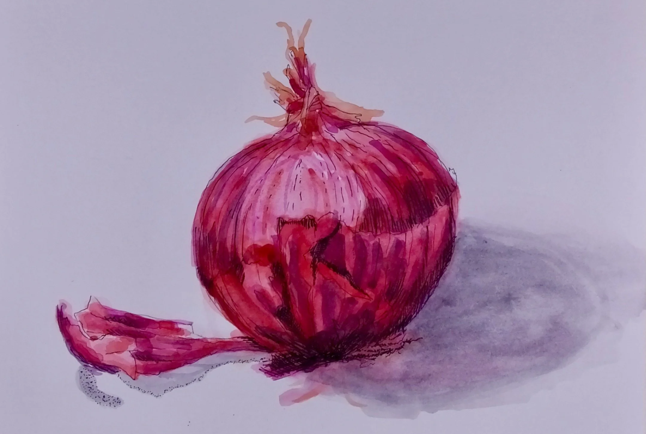 Dreaming of a Transcendent Red Onion in the Desert — Steven Frechette