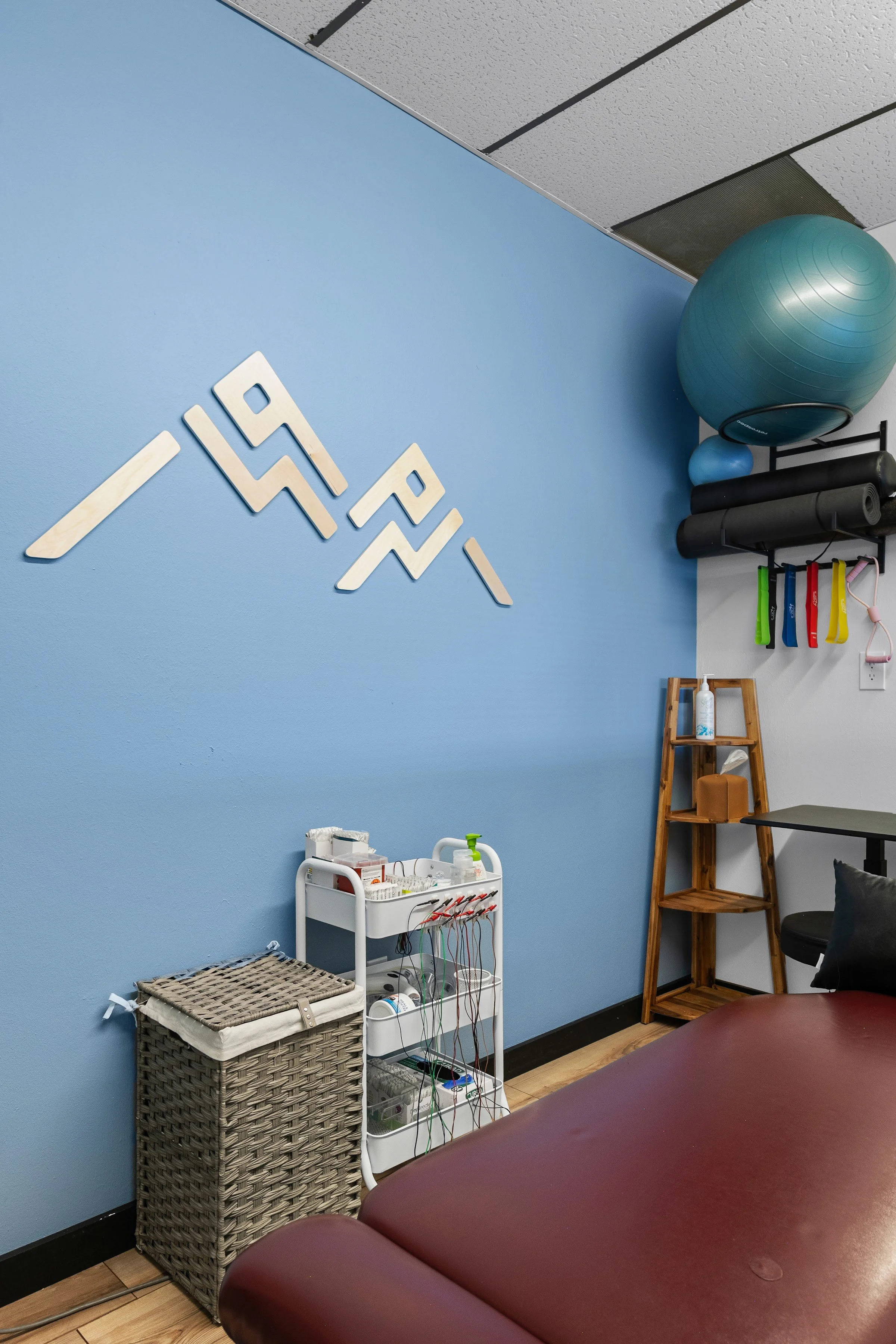 Summit Physio mountain logo on the treatment room wall