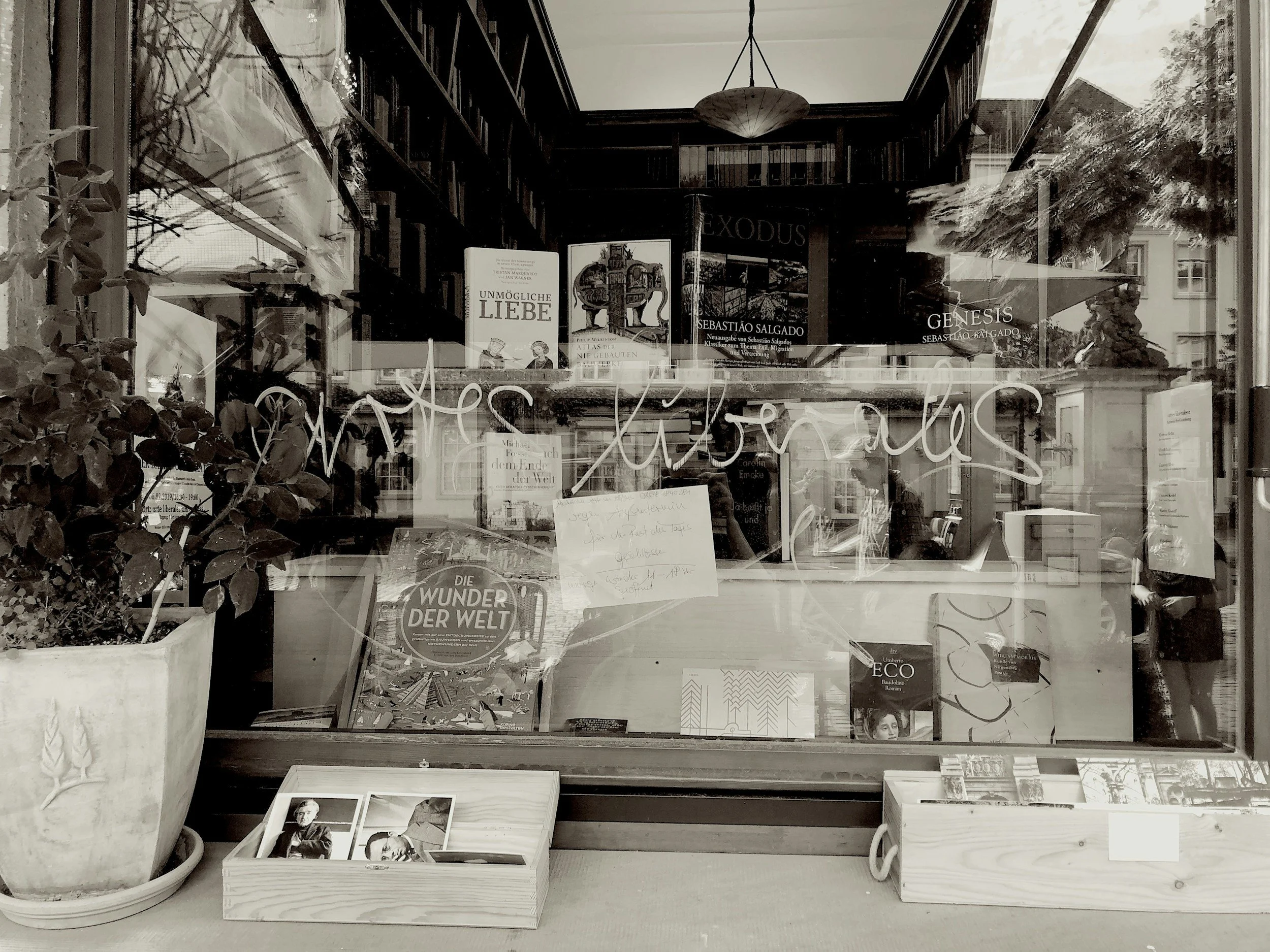 View through a bookstore window featuring books and decorations, with the phrase 'what is there' written in cursive on the glass.