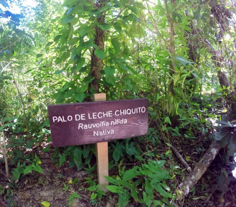 A sign that reads "palo de leche chiquito".