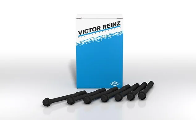 Cylinder-head bolts.jpg