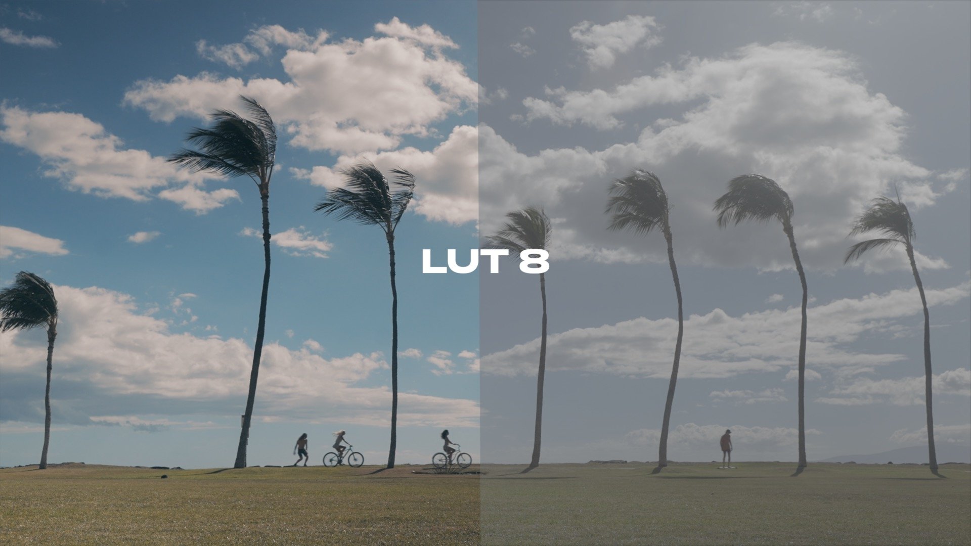 LUT 8