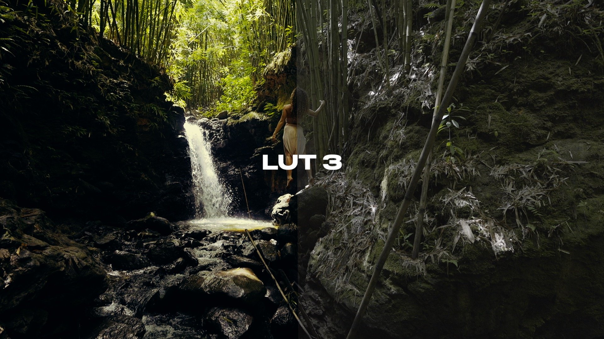 LUT 3