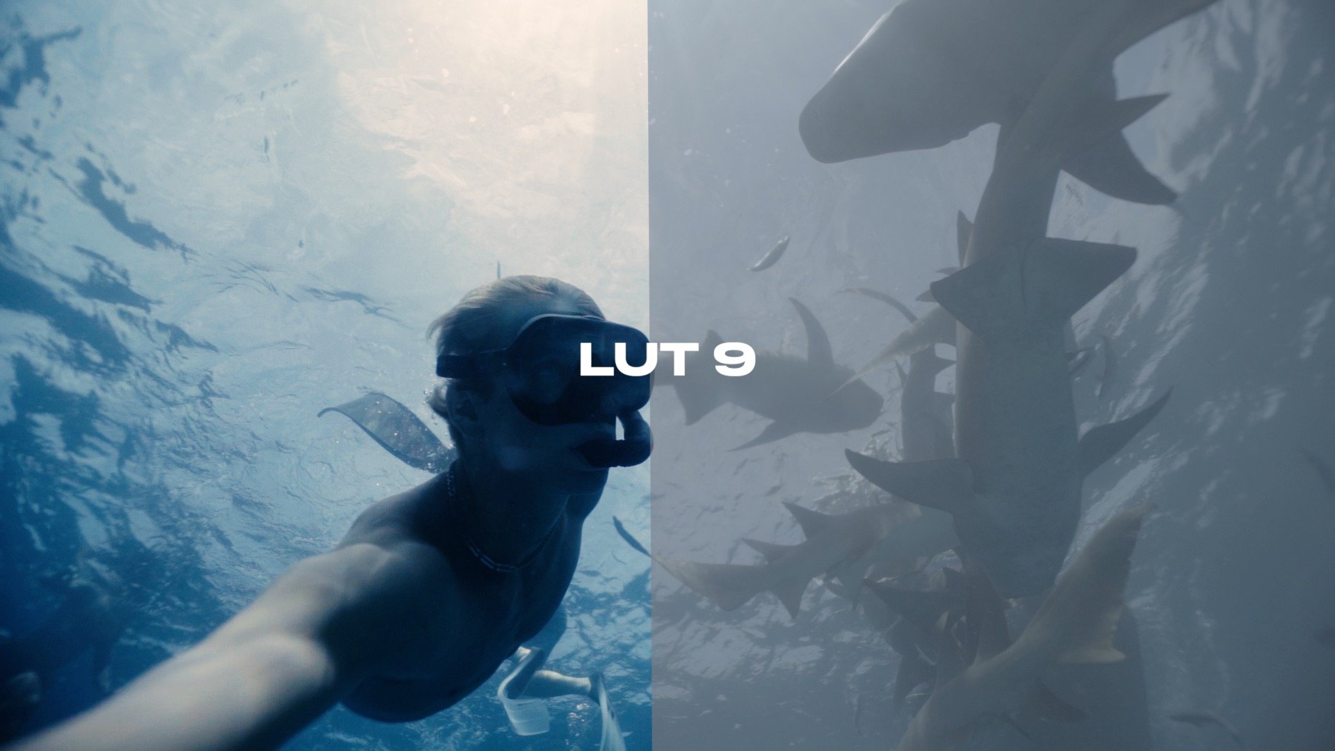 LUT 9