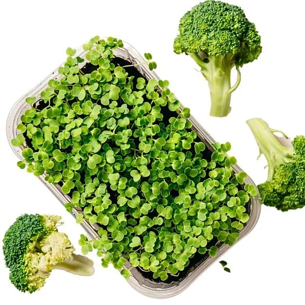 Microgreens for sale near me Microgreens near me delivered — HappyGreens