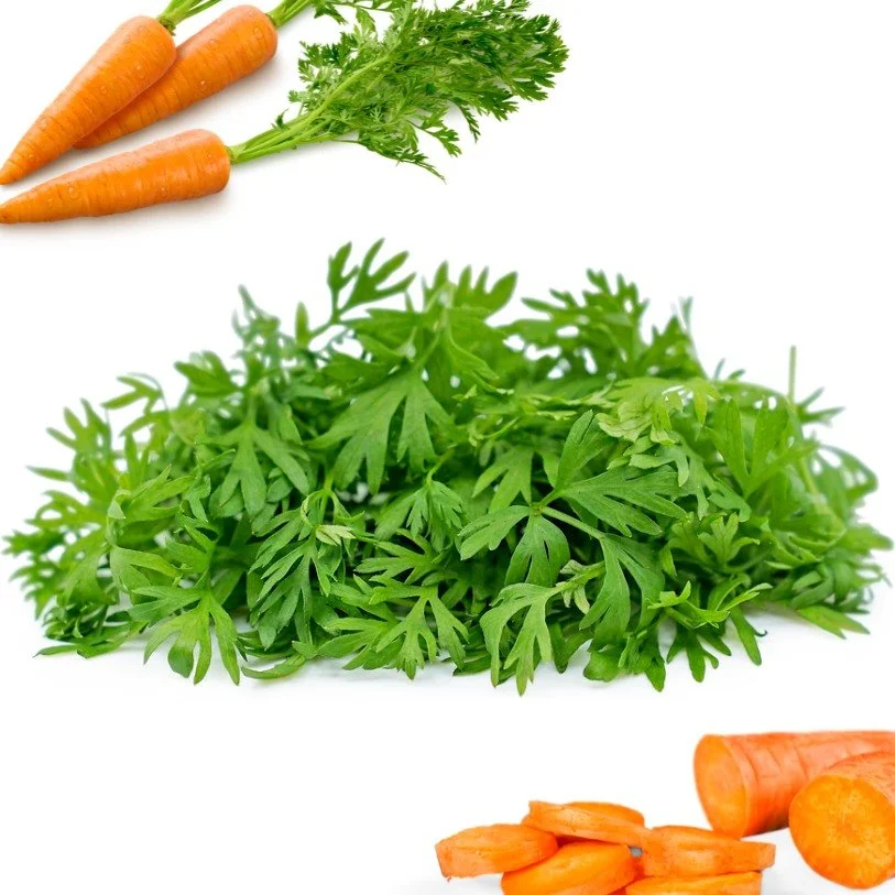 Microgreens for sale near me Microgreens near me delivered — HappyGreens