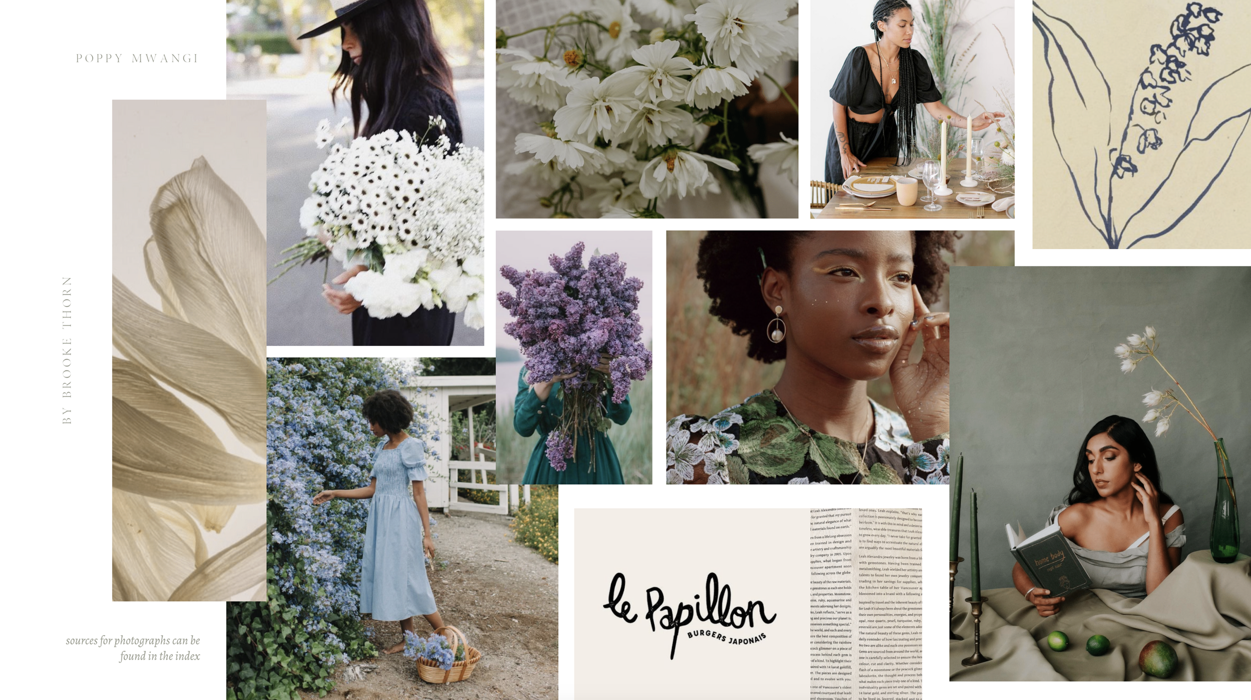 creative direction + vision
