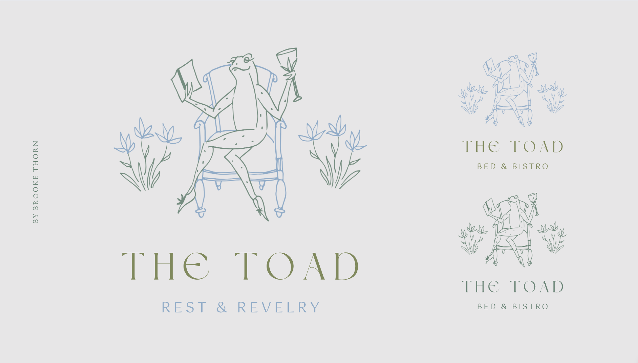 branding + colour + illustration