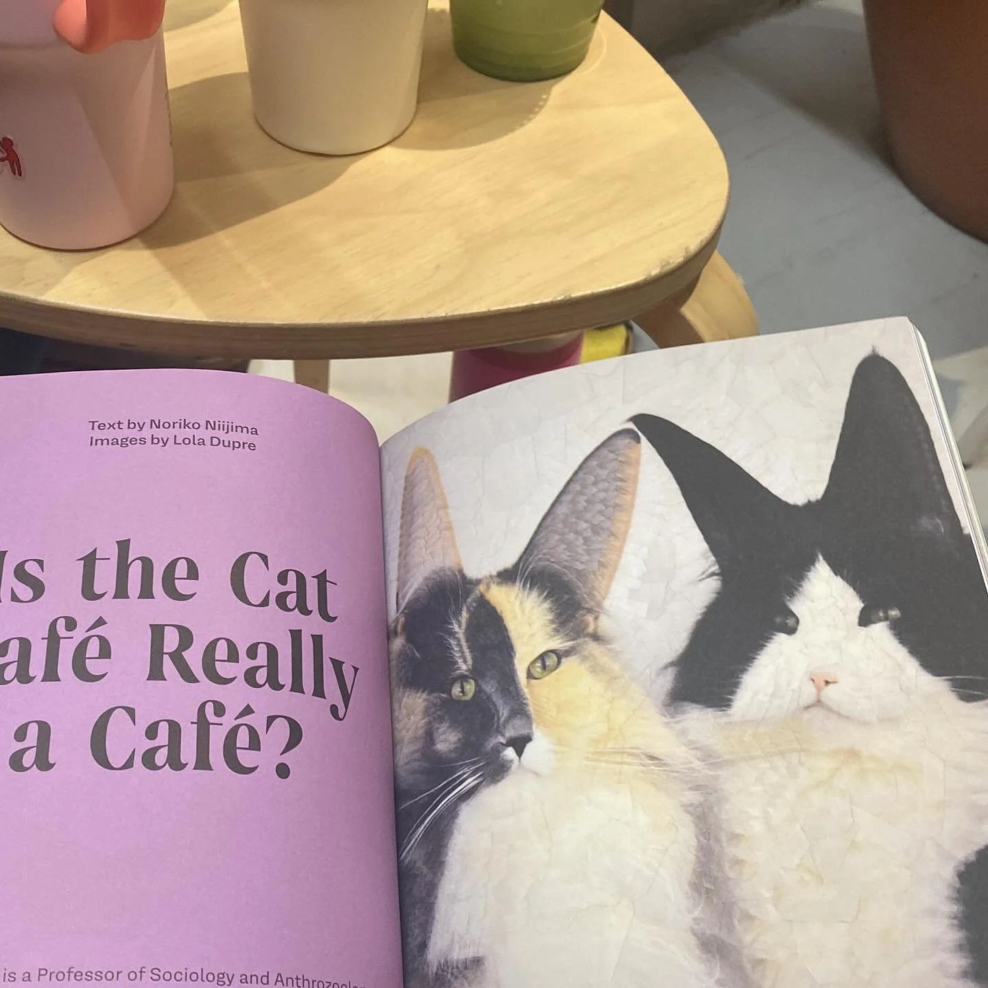 un dos tres inhala un dos tres exhala 𖦹 ⋆｡&deg;✩