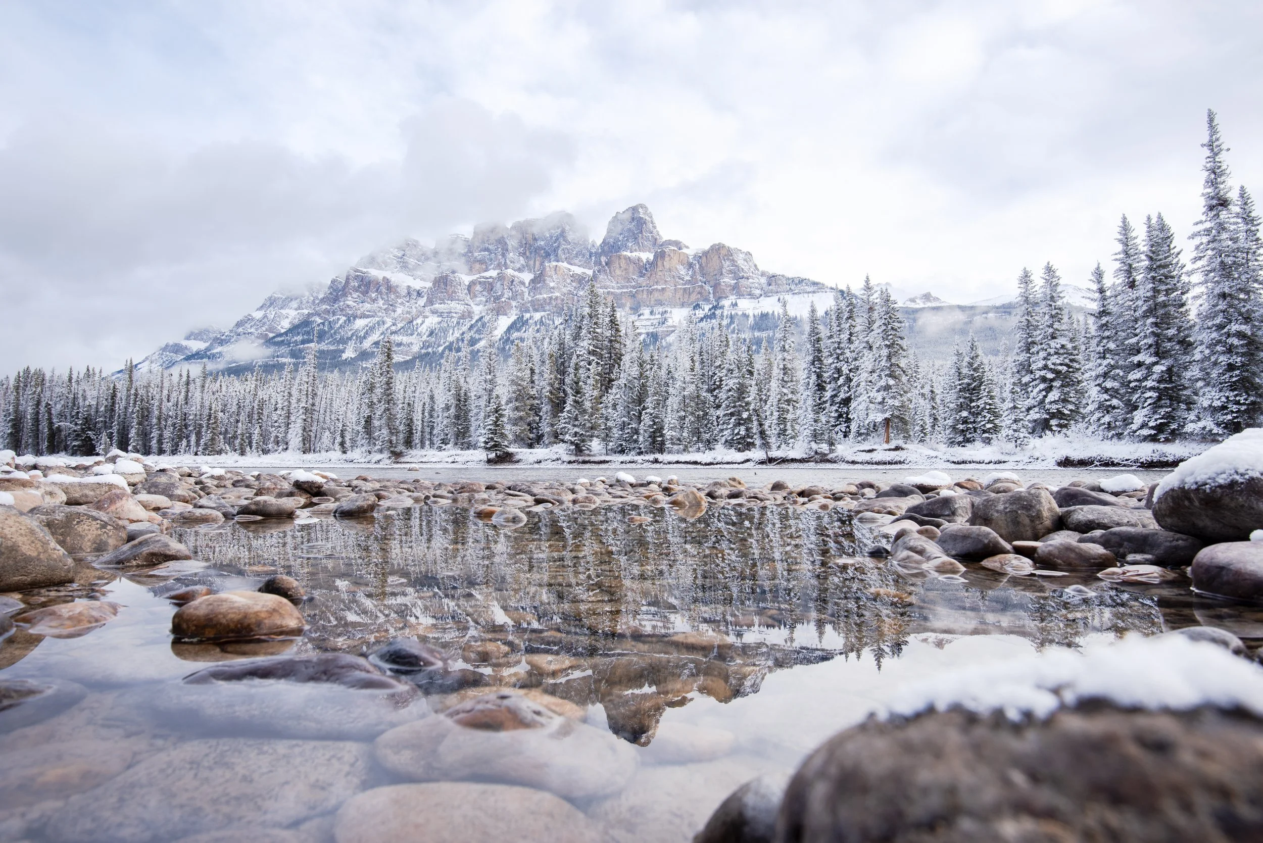 TSC_Wallpaper-NaturalAbstracts_2025-3.jpg