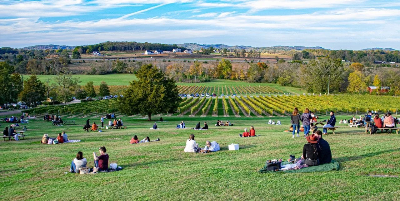 Arrington-Vineyards-2.2.jpg