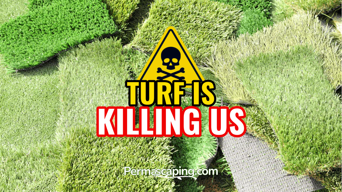 The Case Against Fake Turf in 2025