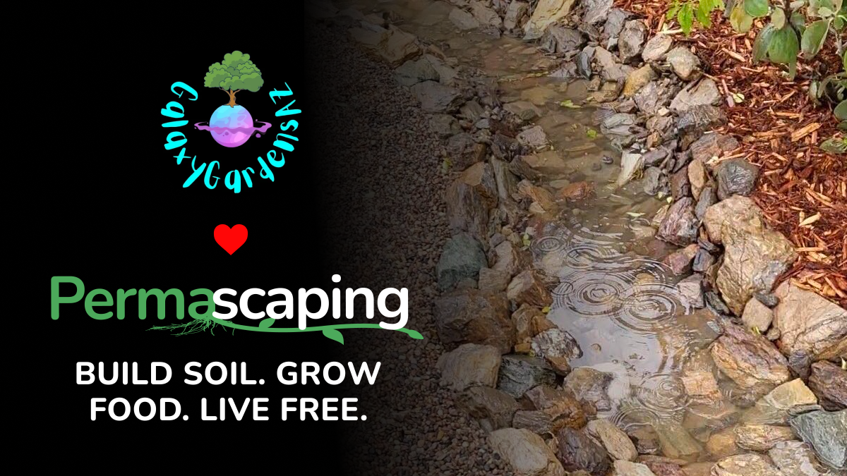 We’re Partnering with Galaxy Gardens to Turn the Phoenix Valley into a Rainwater Harvesting Paradise