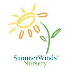 Summer Winds square.jpeg